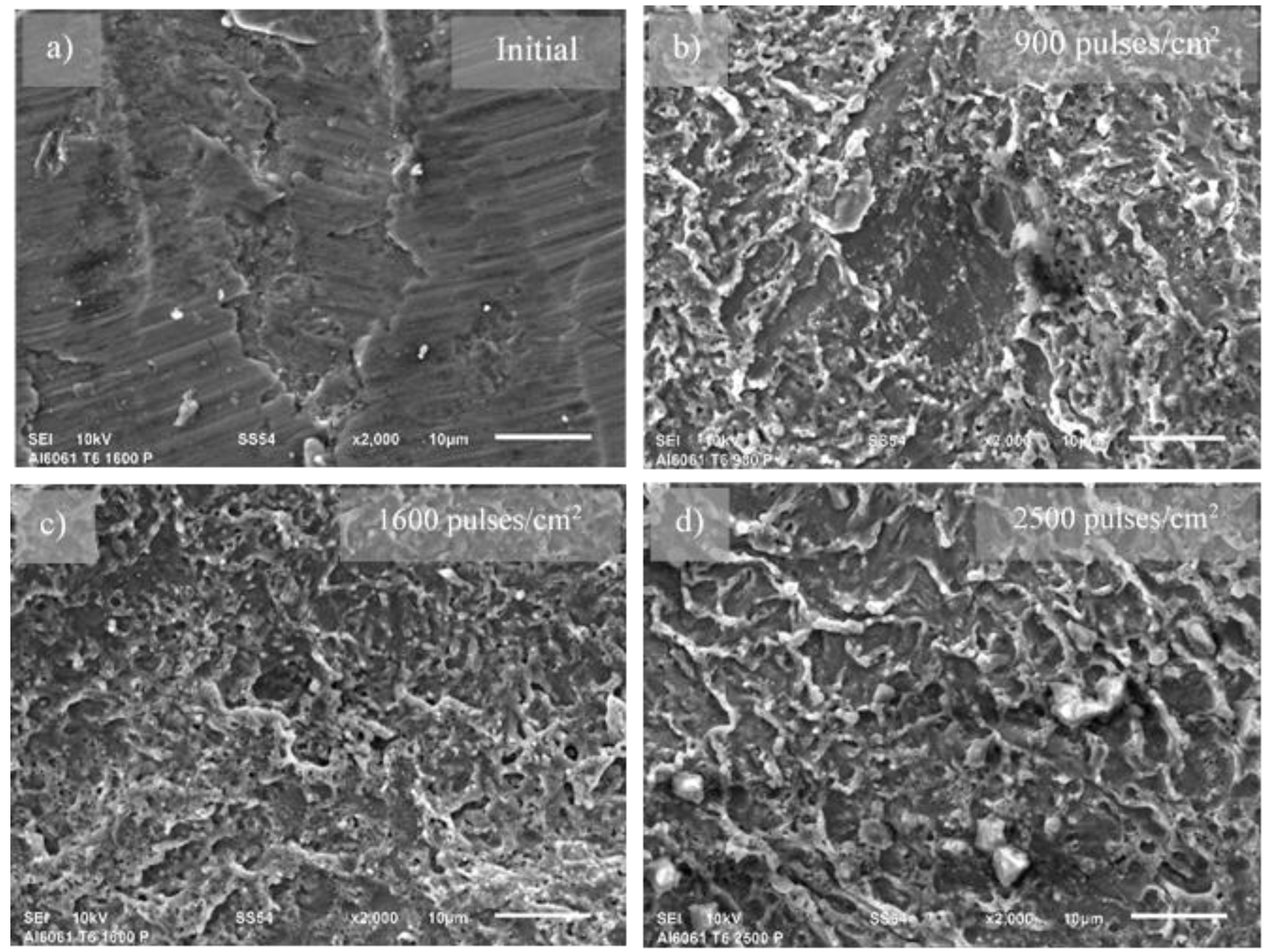 Preprints 116046 g003