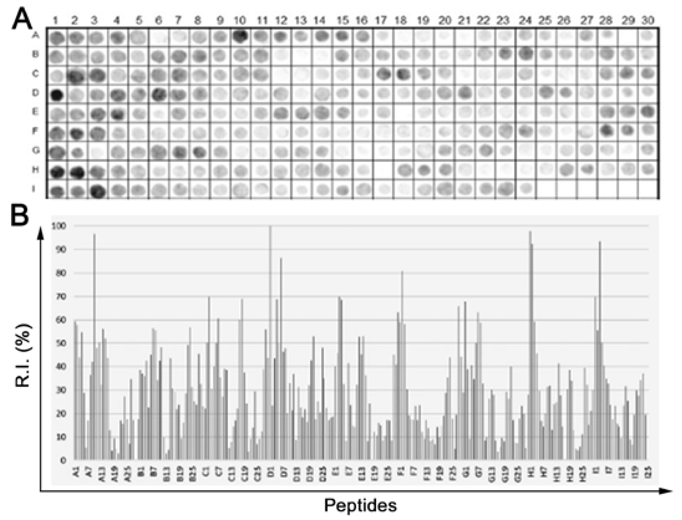 Preprints 68584 g001