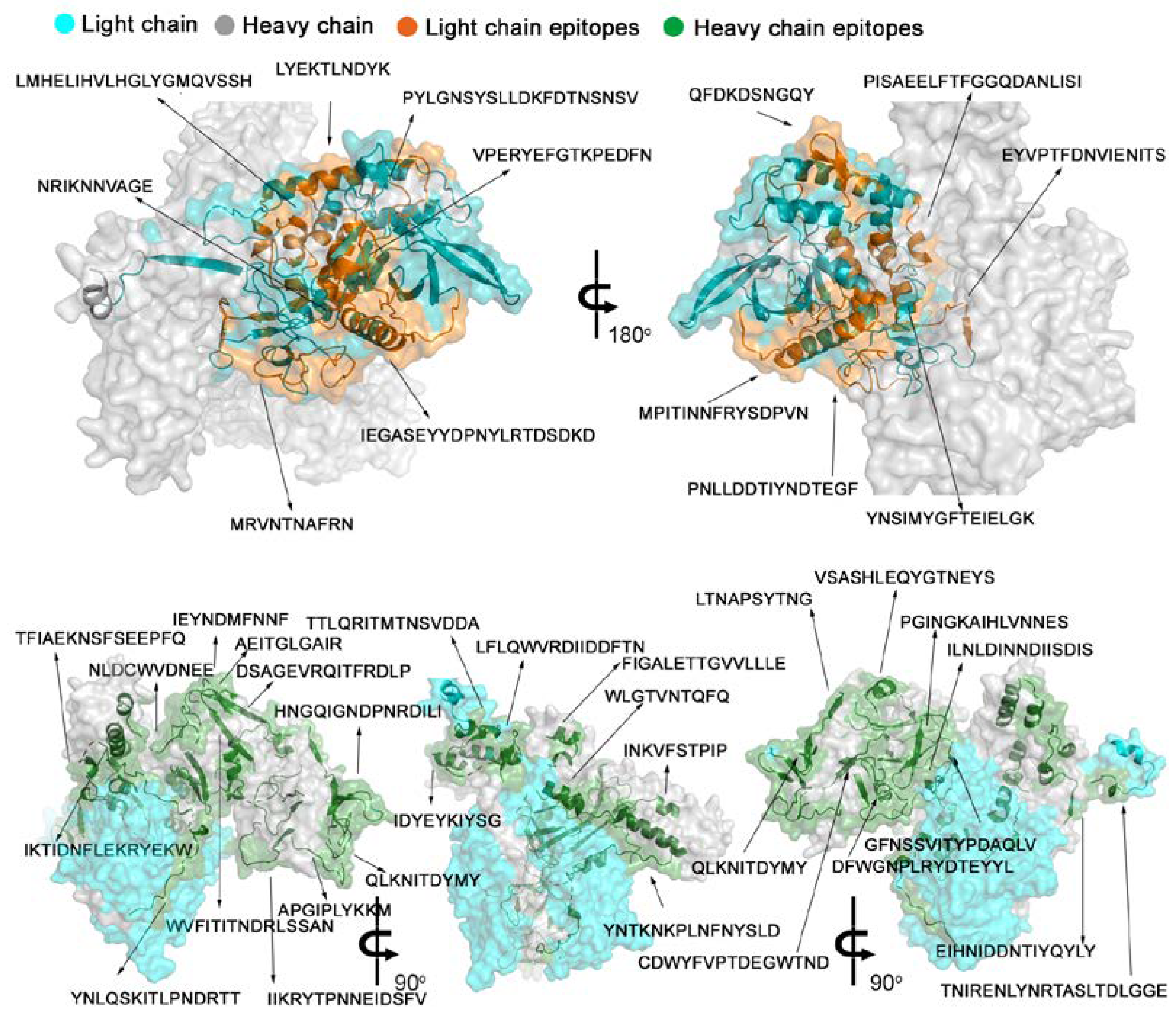 Preprints 68584 g004