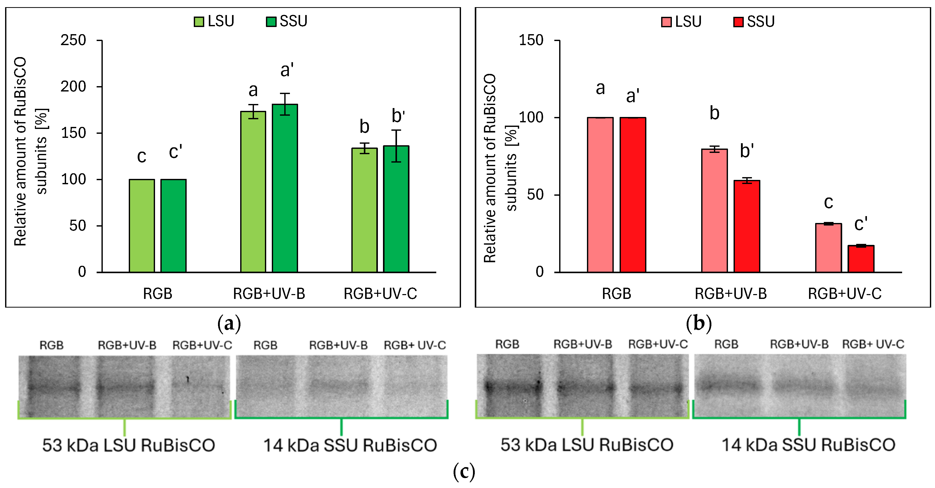 Preprints 114244 g006