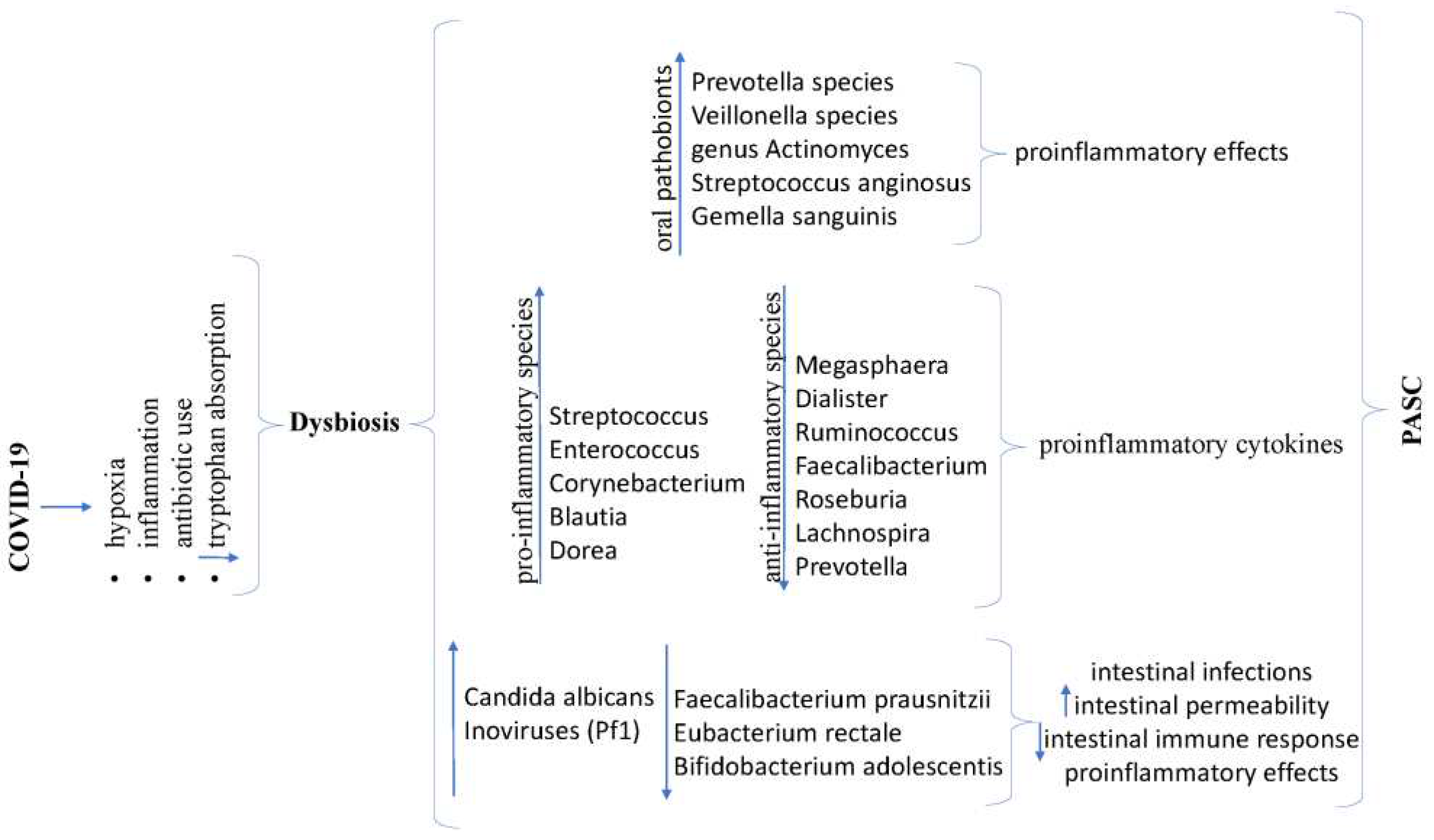 Preprints 94897 g004