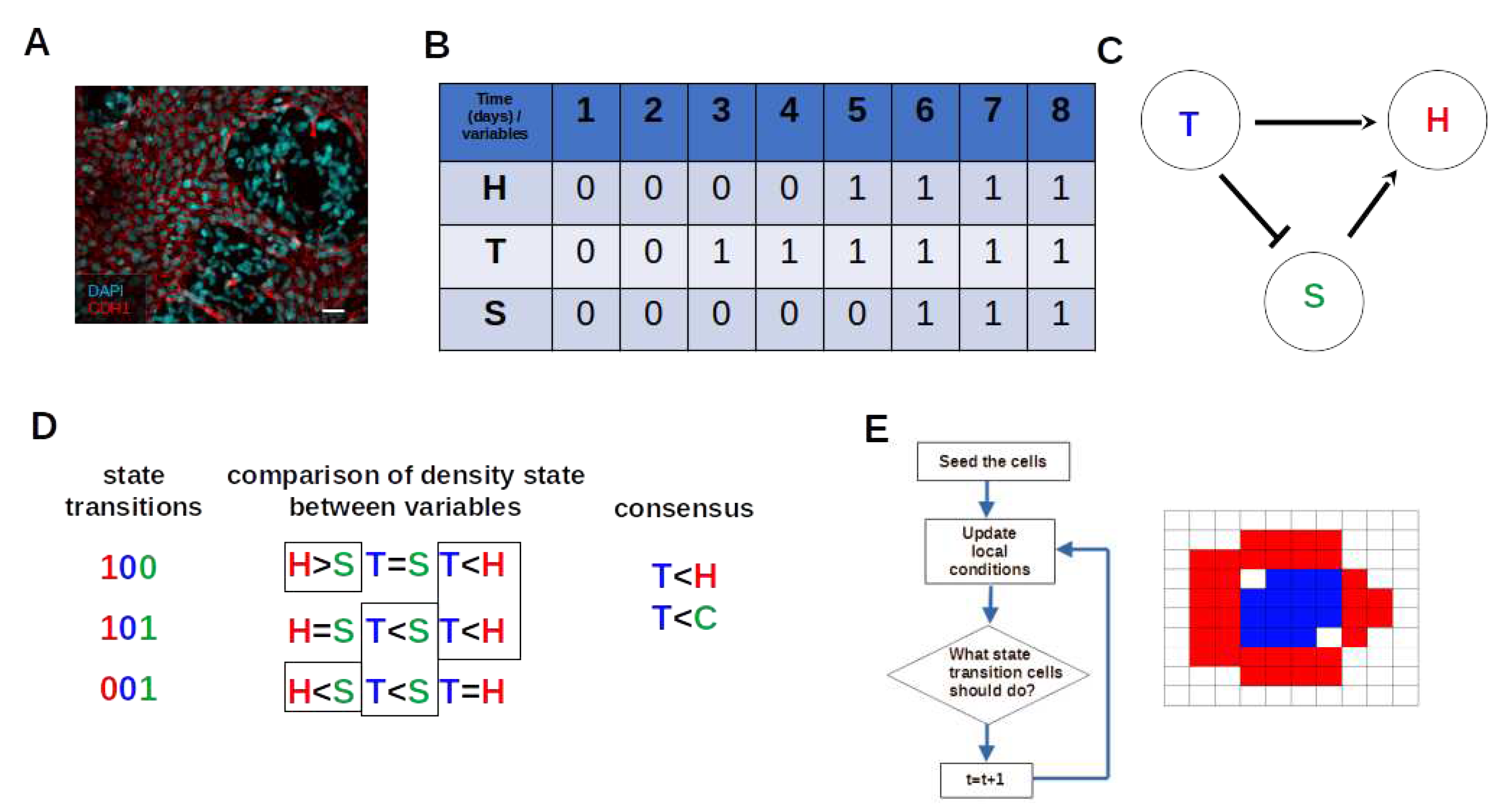 Preprints 88935 g001