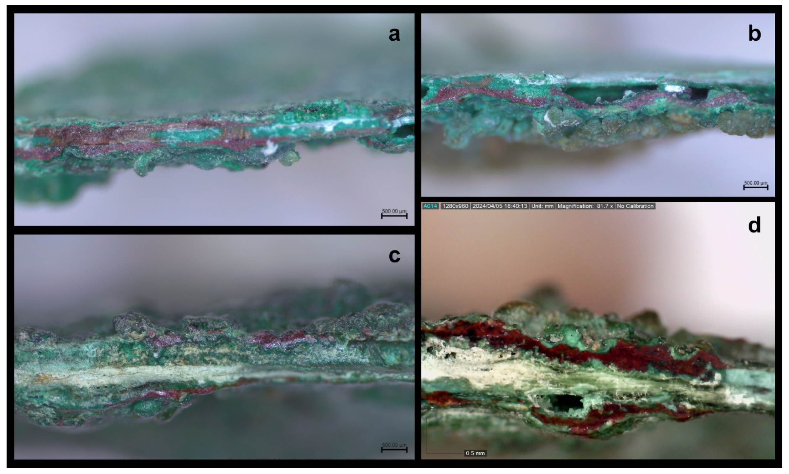 Preprints 106688 g011