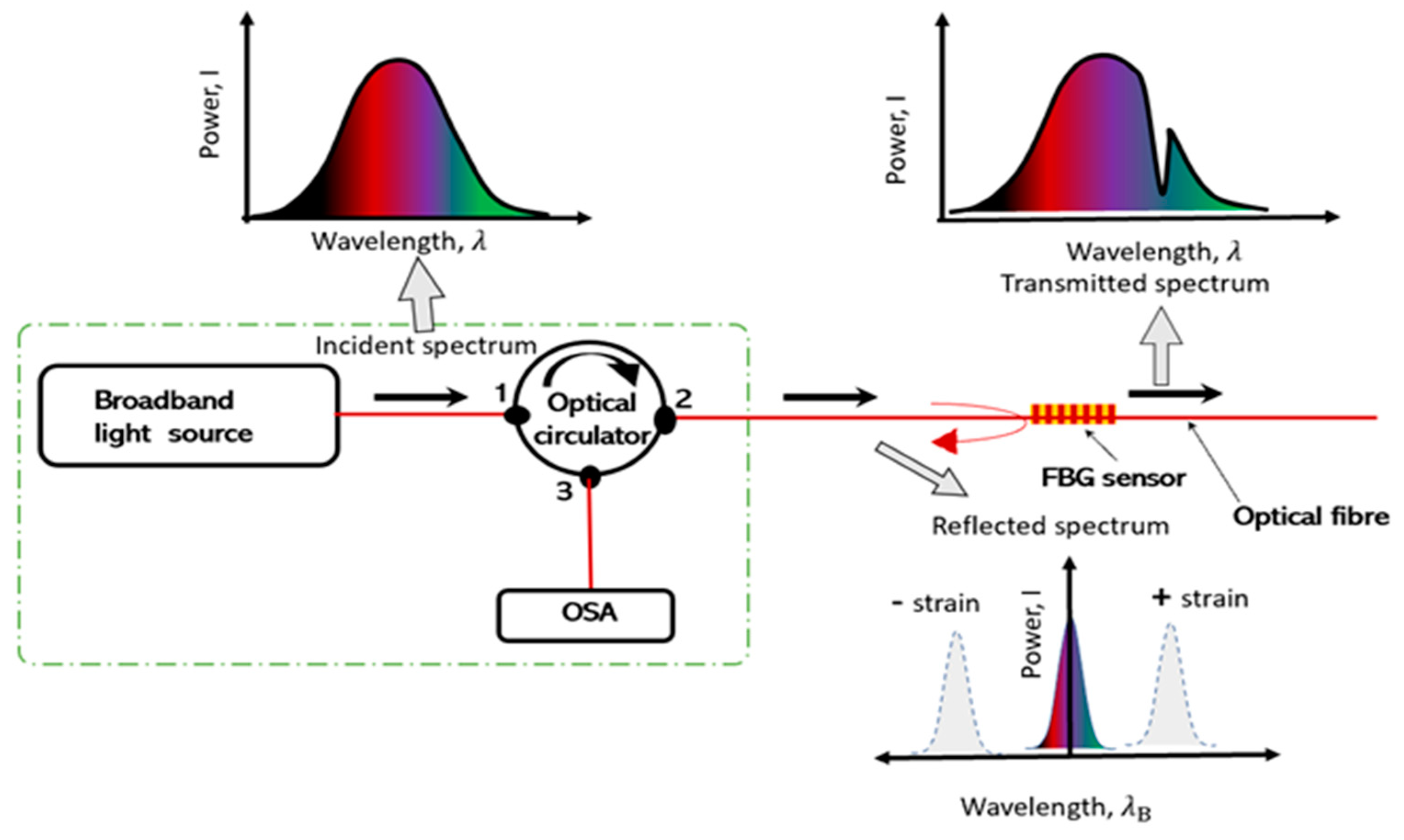 Preprints 113987 g002