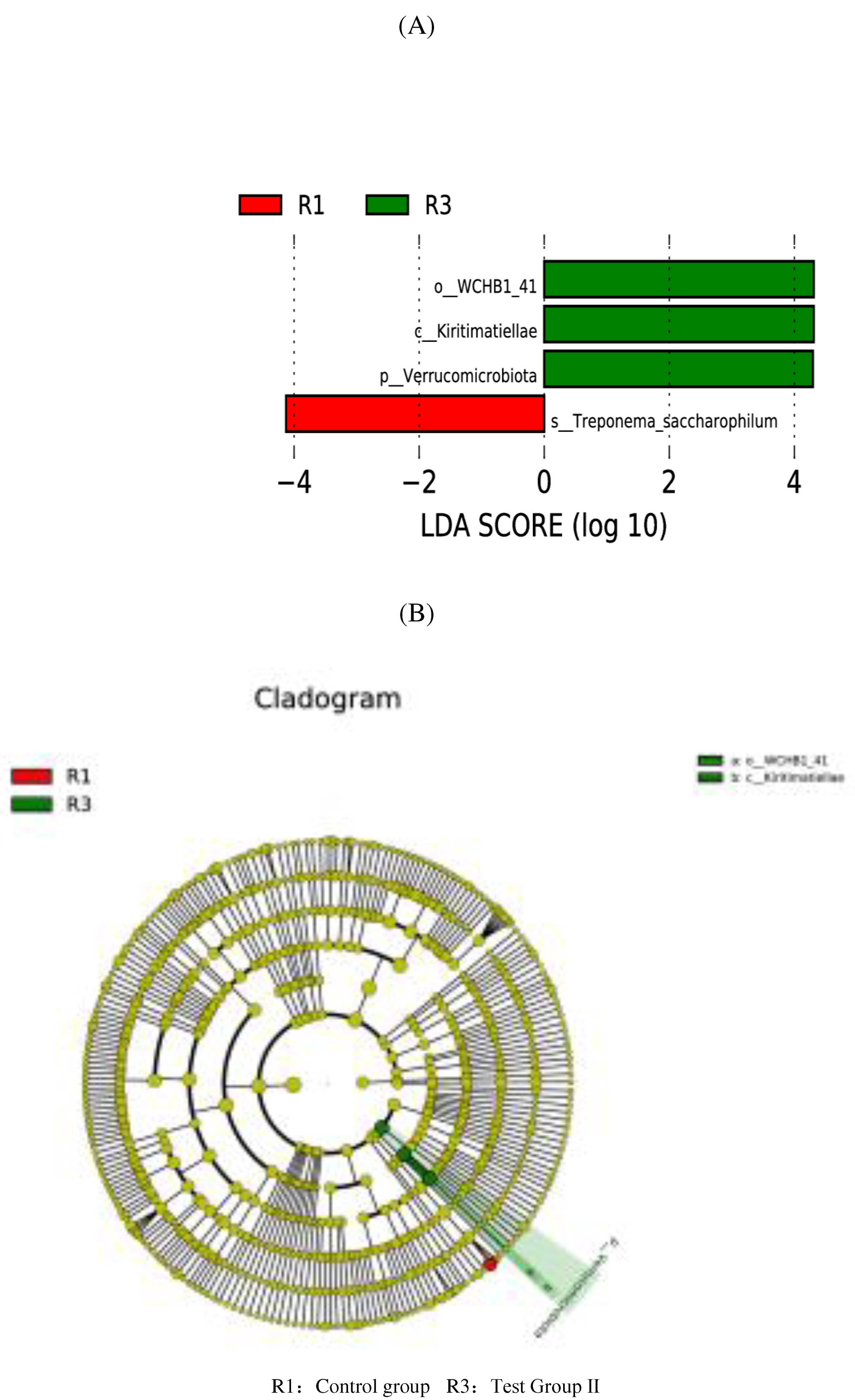 Preprints 78409 g009