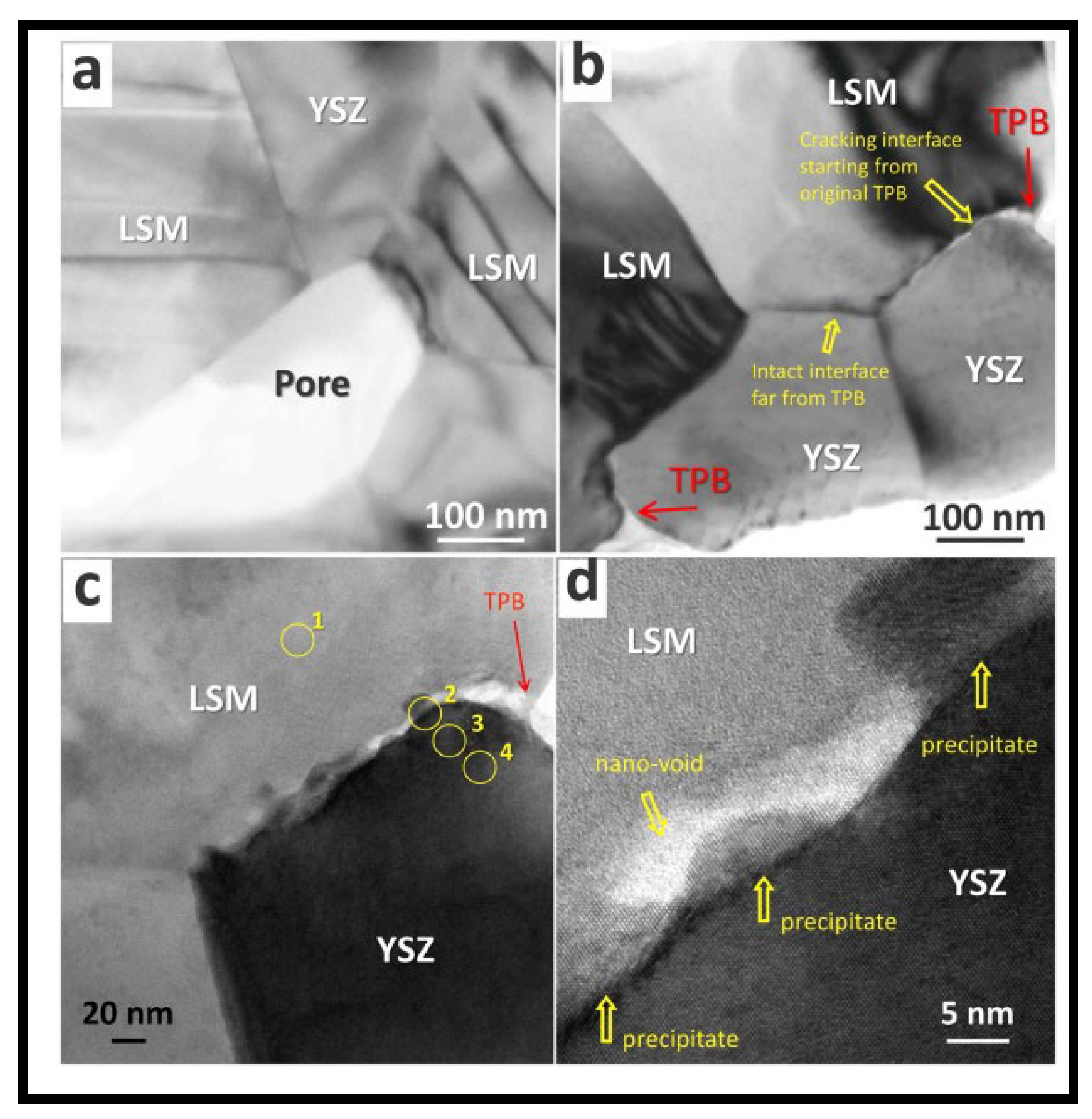 Preprints 106277 g009