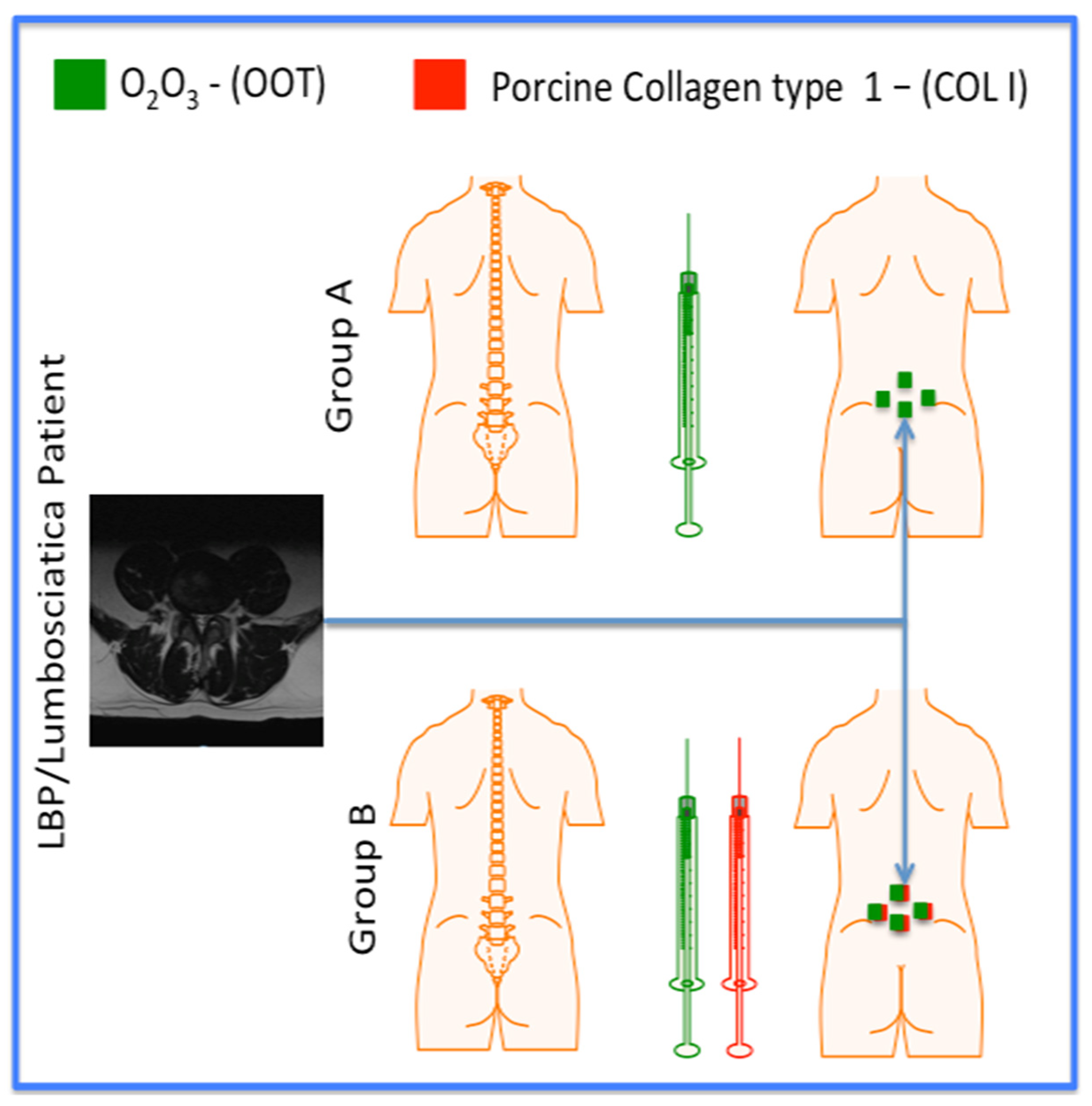 Preprints 117431 g001