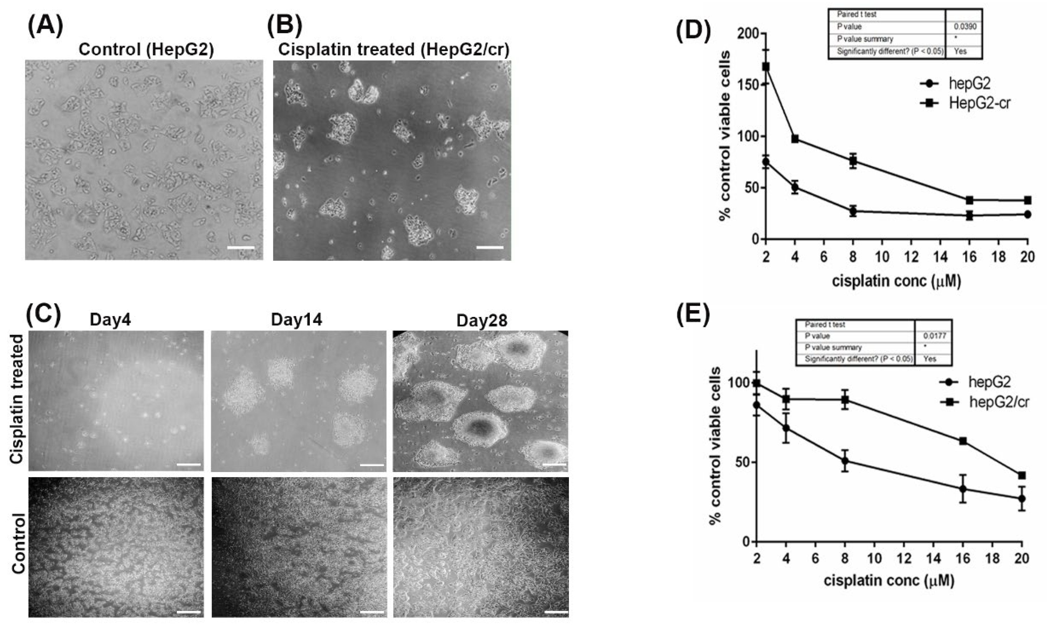 Preprints 102340 g001