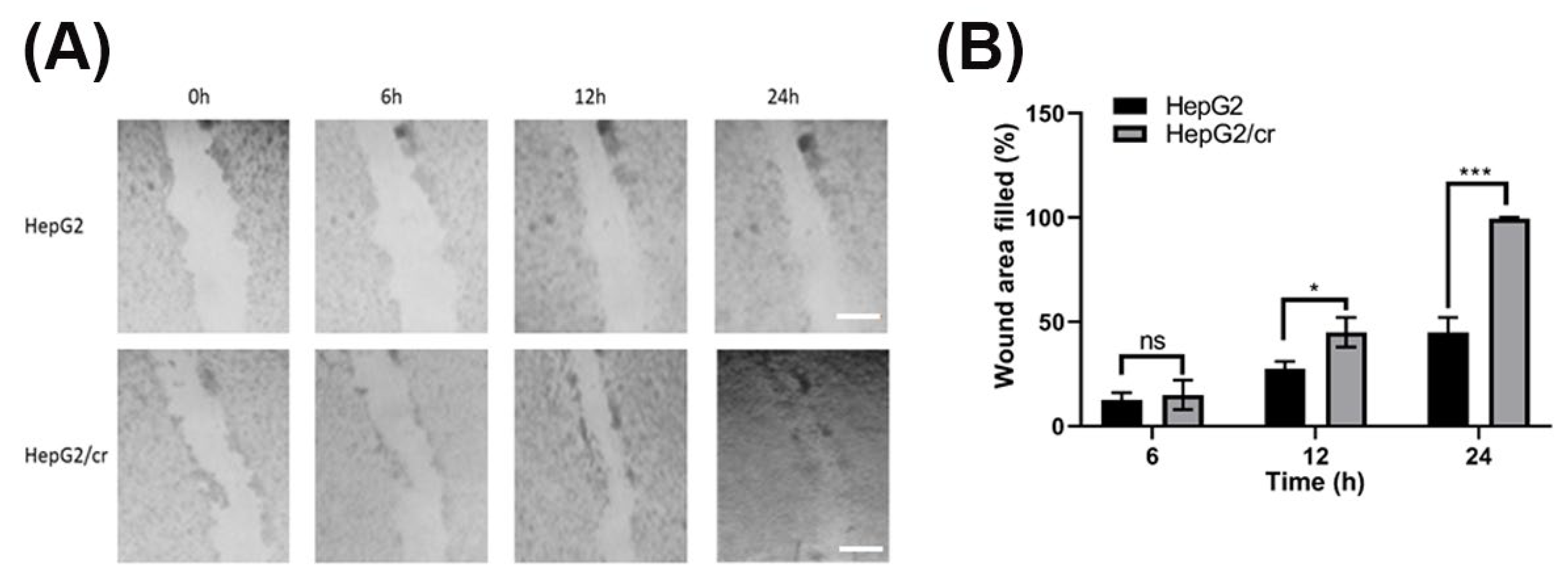 Preprints 102340 g002