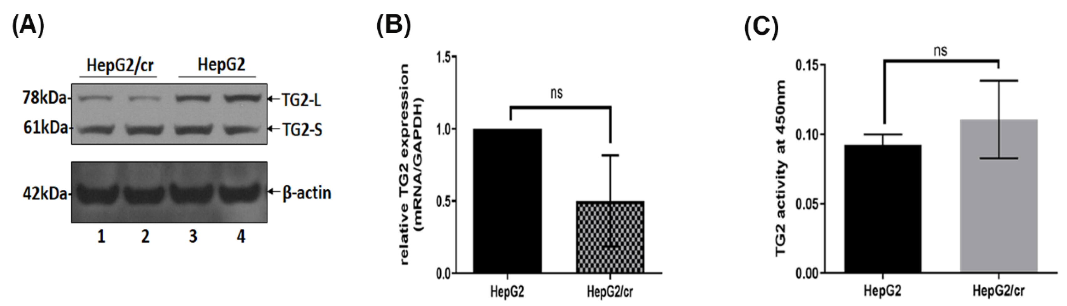 Preprints 102340 g003