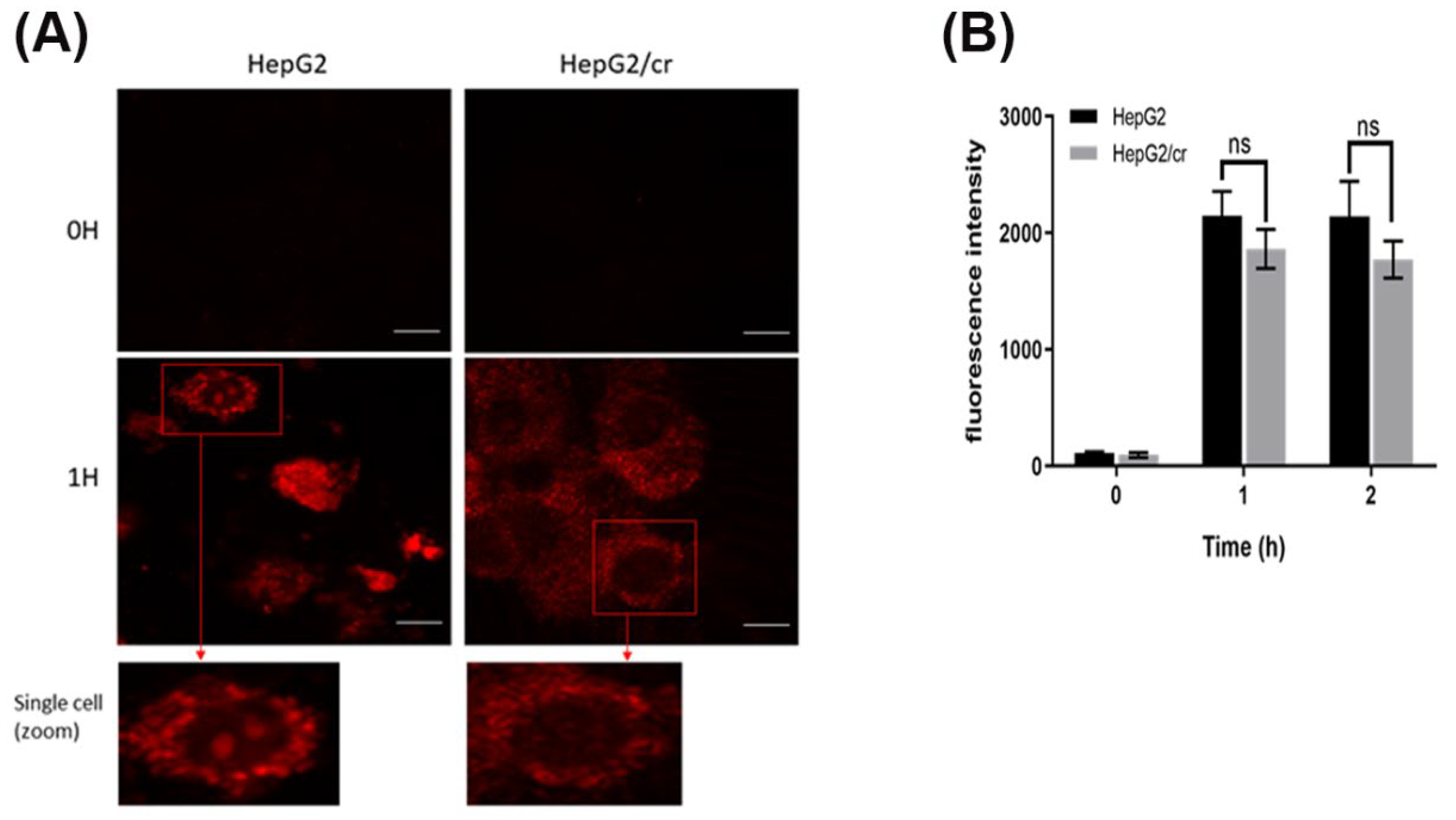 Preprints 102340 g004