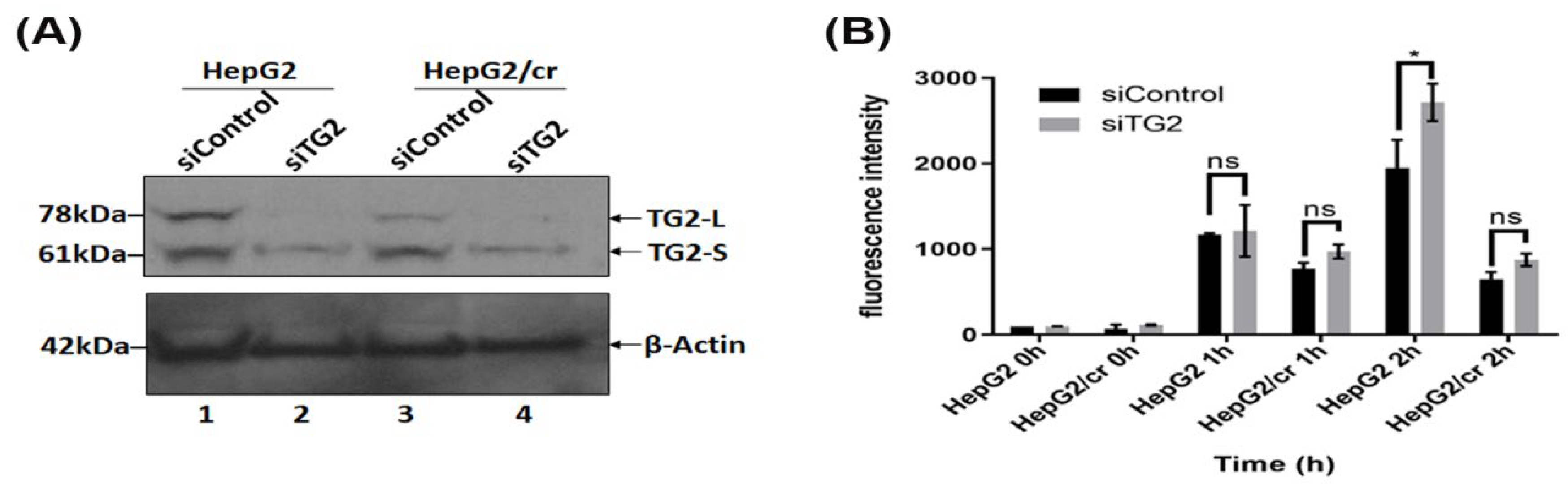 Preprints 102340 g006