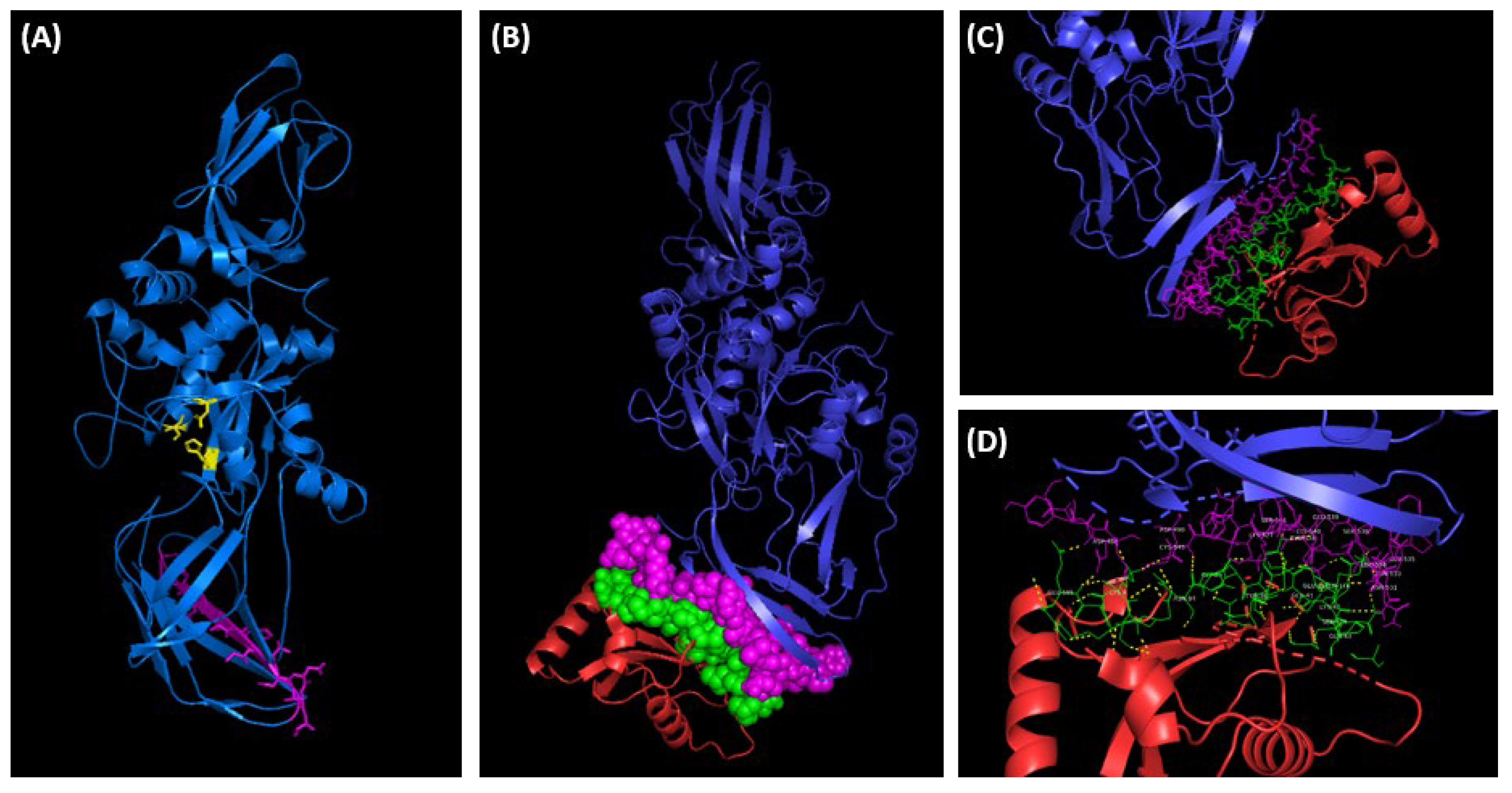 Preprints 102340 g008