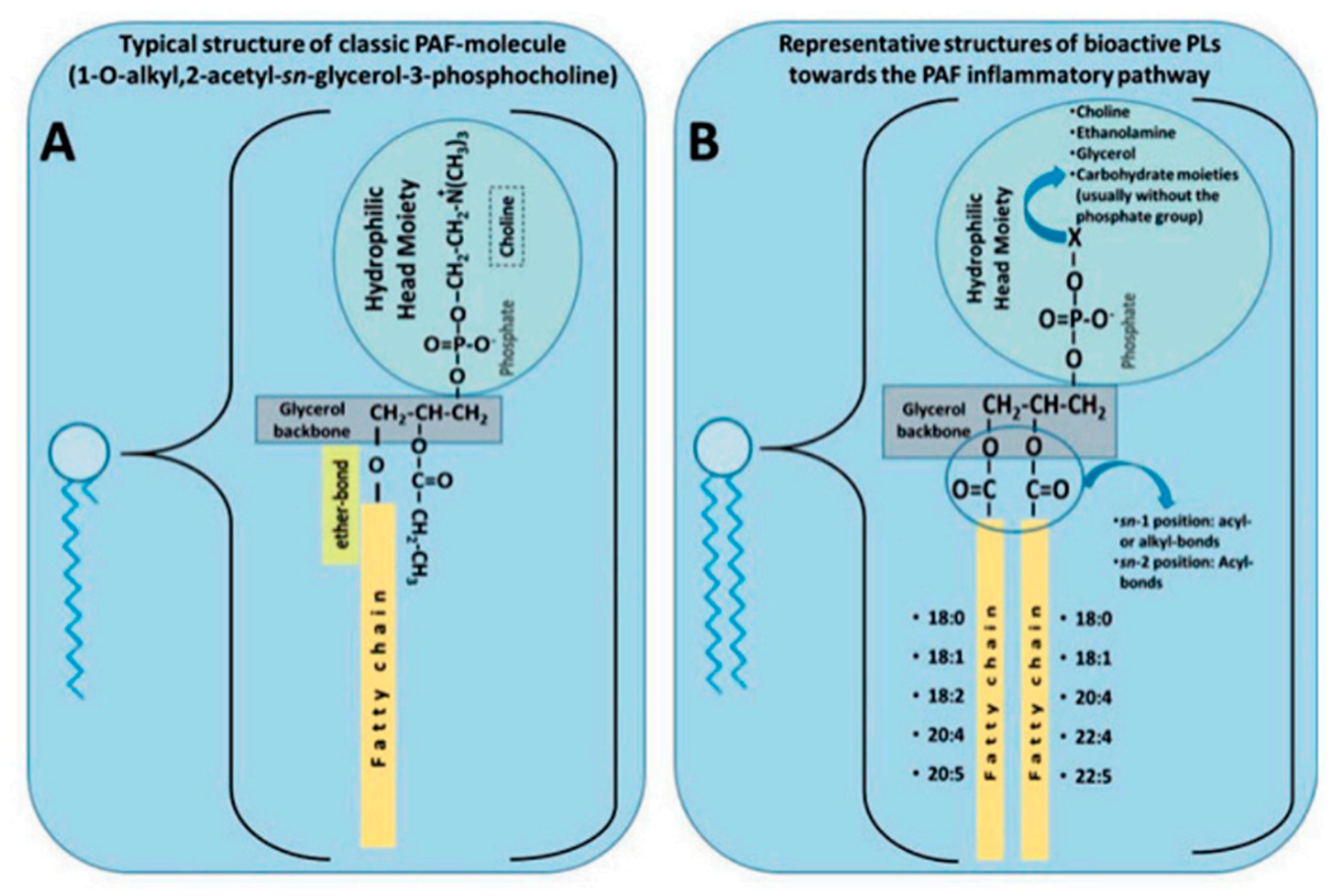 Preprints 85760 g004