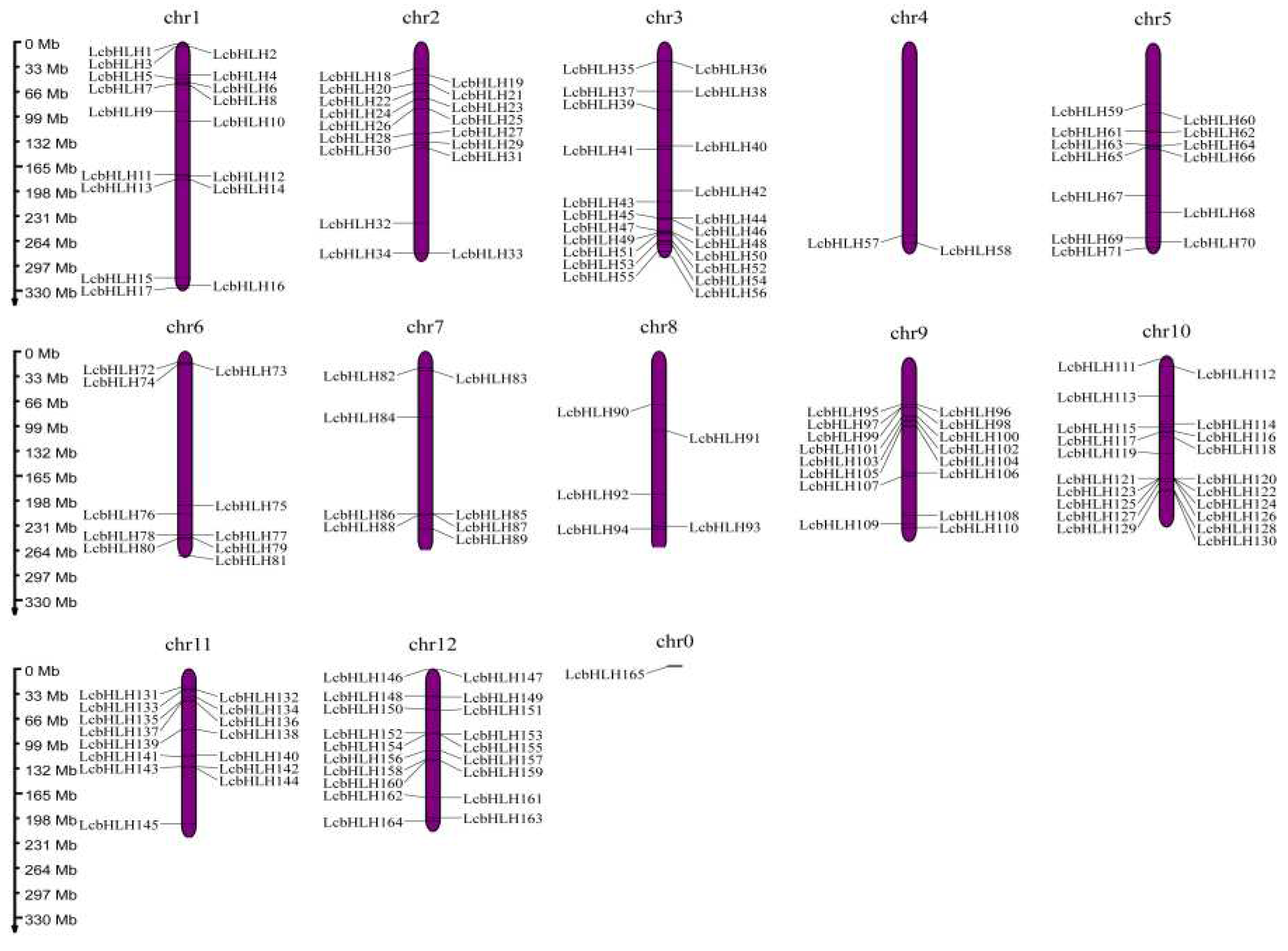 Preprints 77107 g001