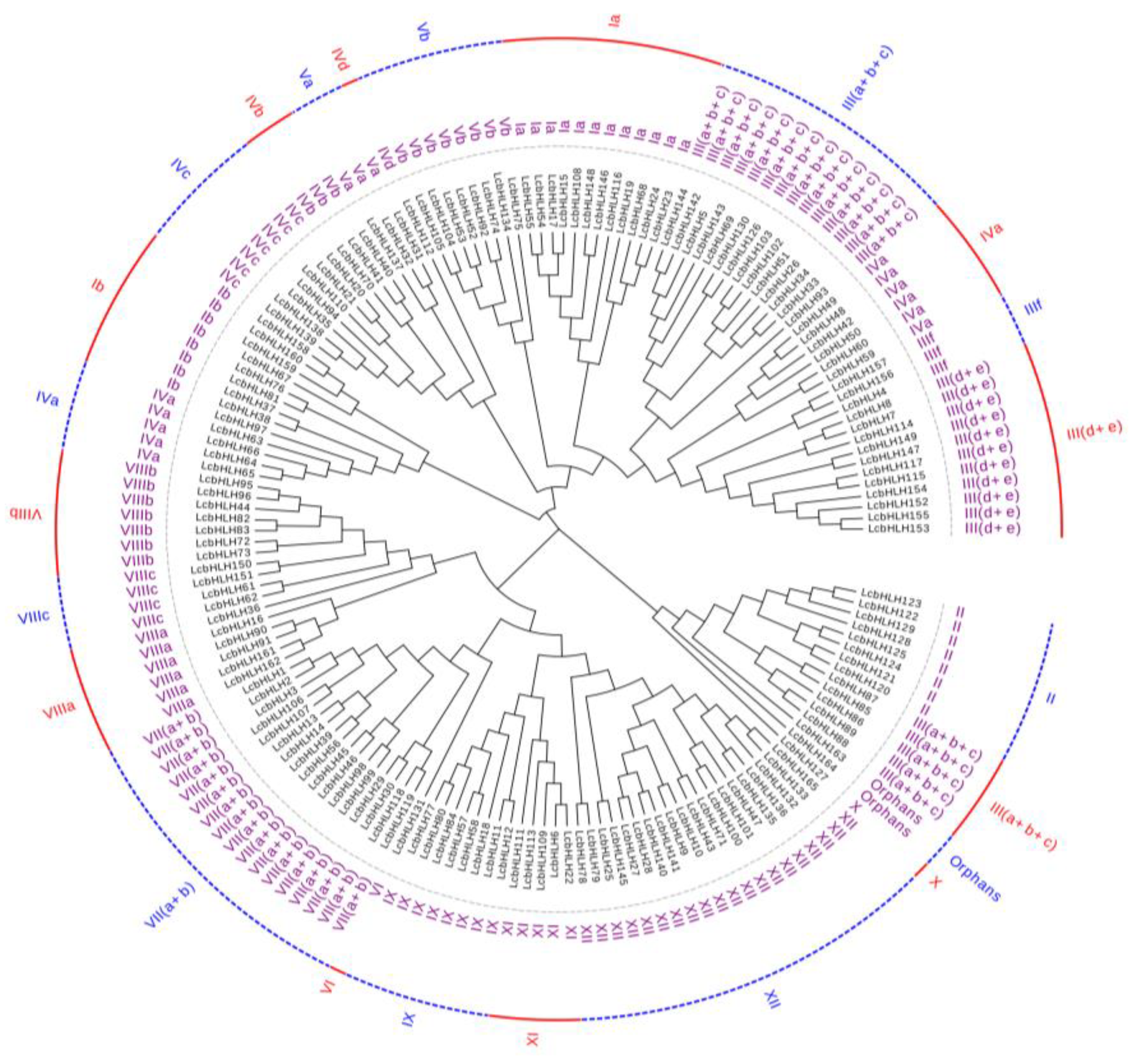 Preprints 77107 g002