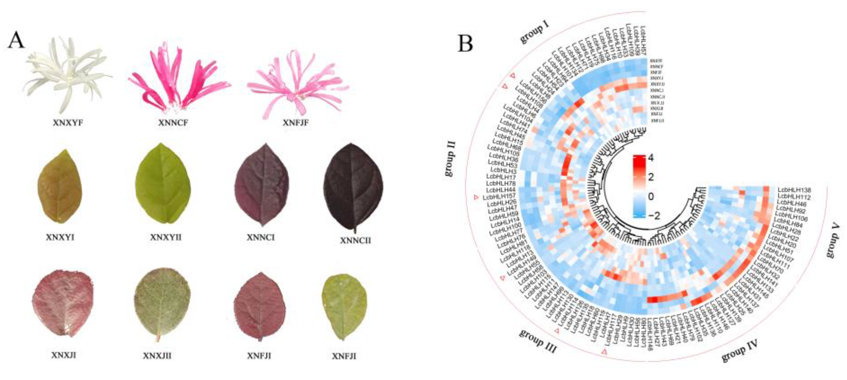 Preprints 77107 g006