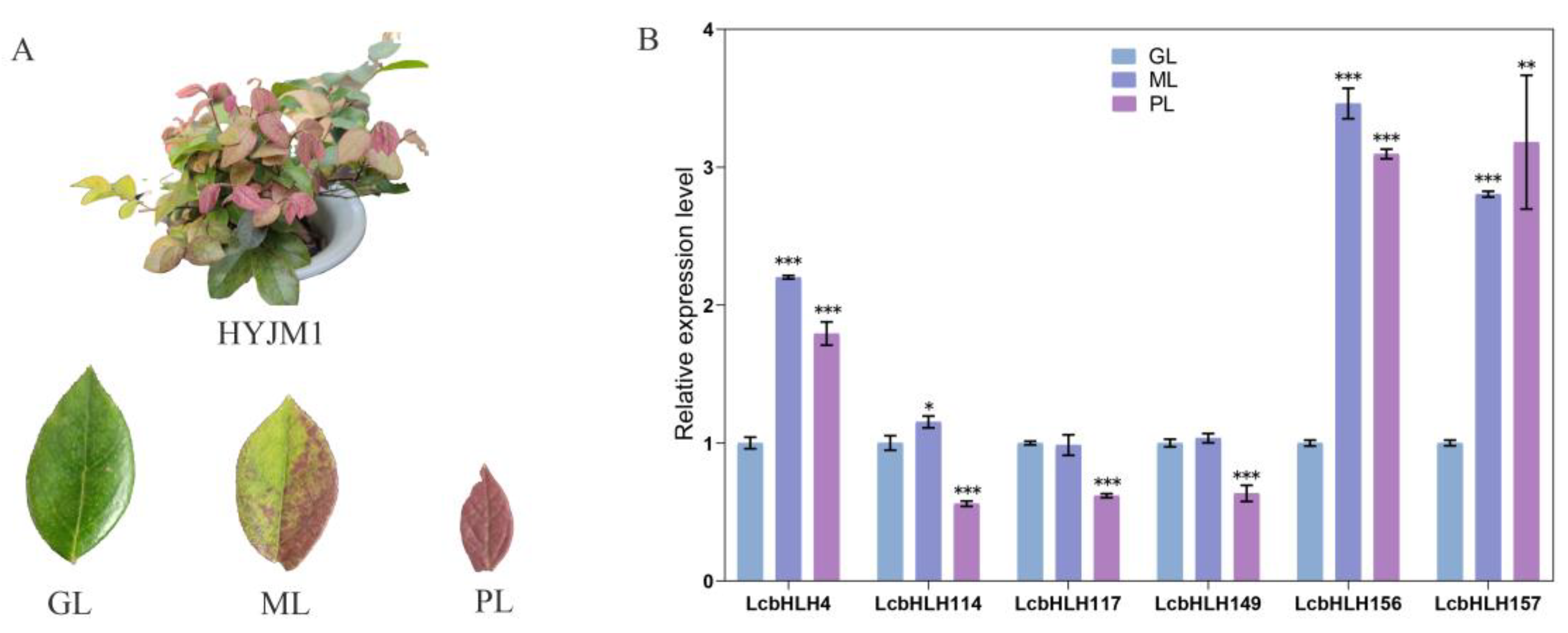 Preprints 77107 g008