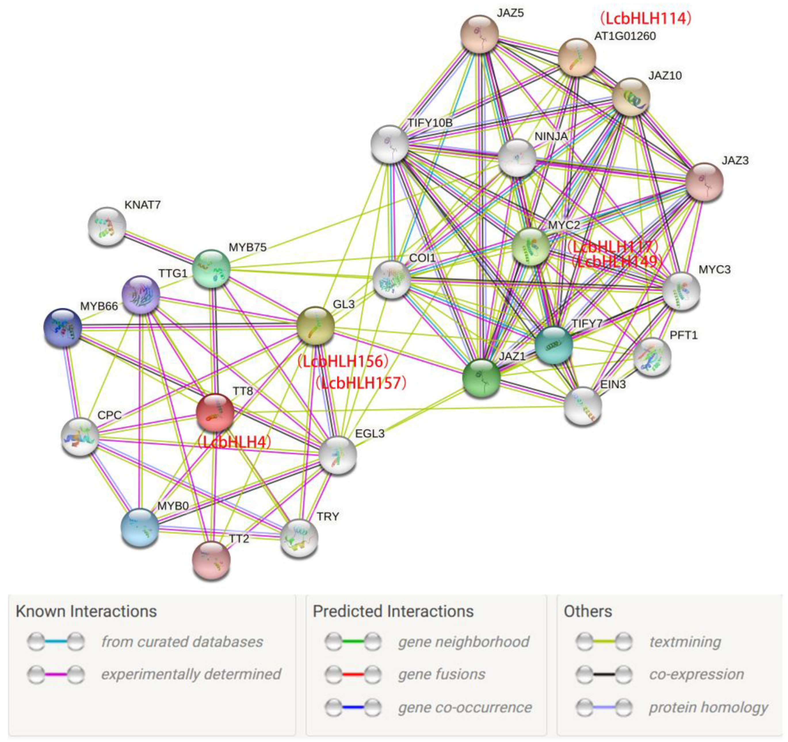 Preprints 77107 g009