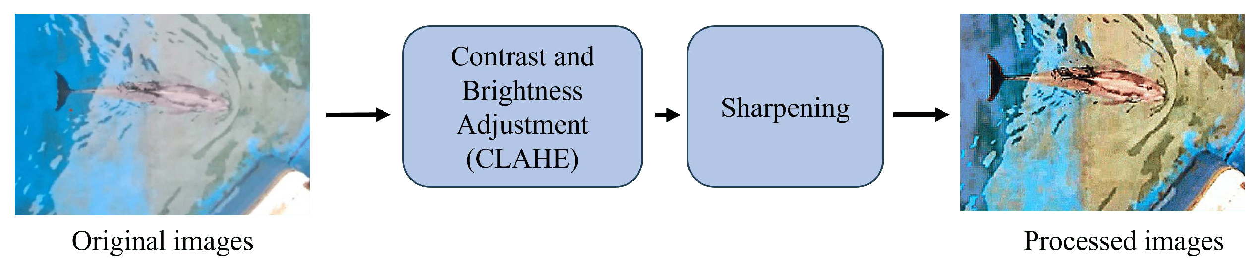 Preprints 98337 g006