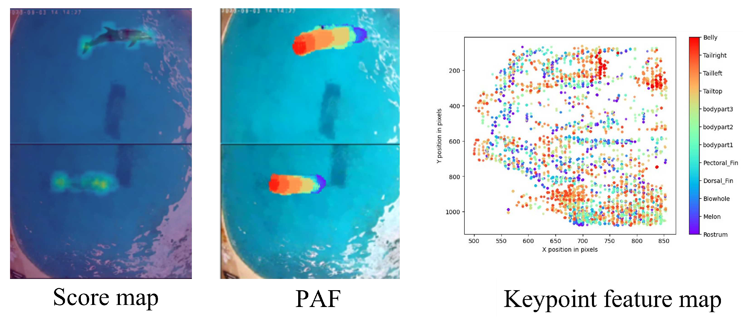 Preprints 98337 g013