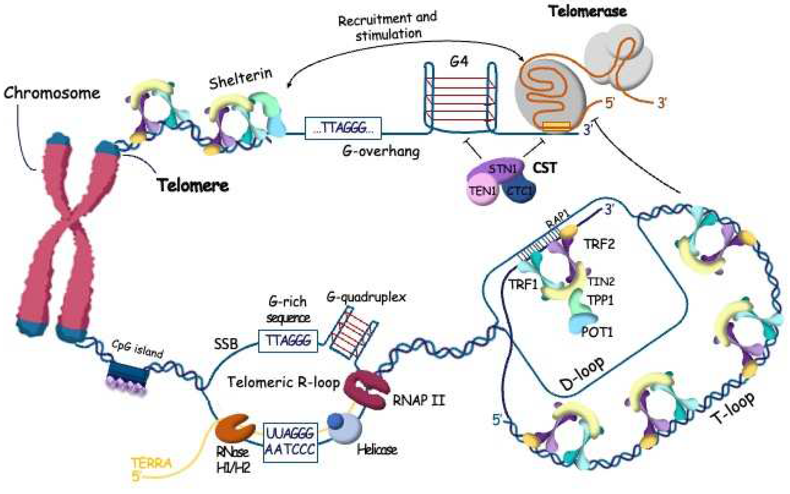 Preprints 95003 g001