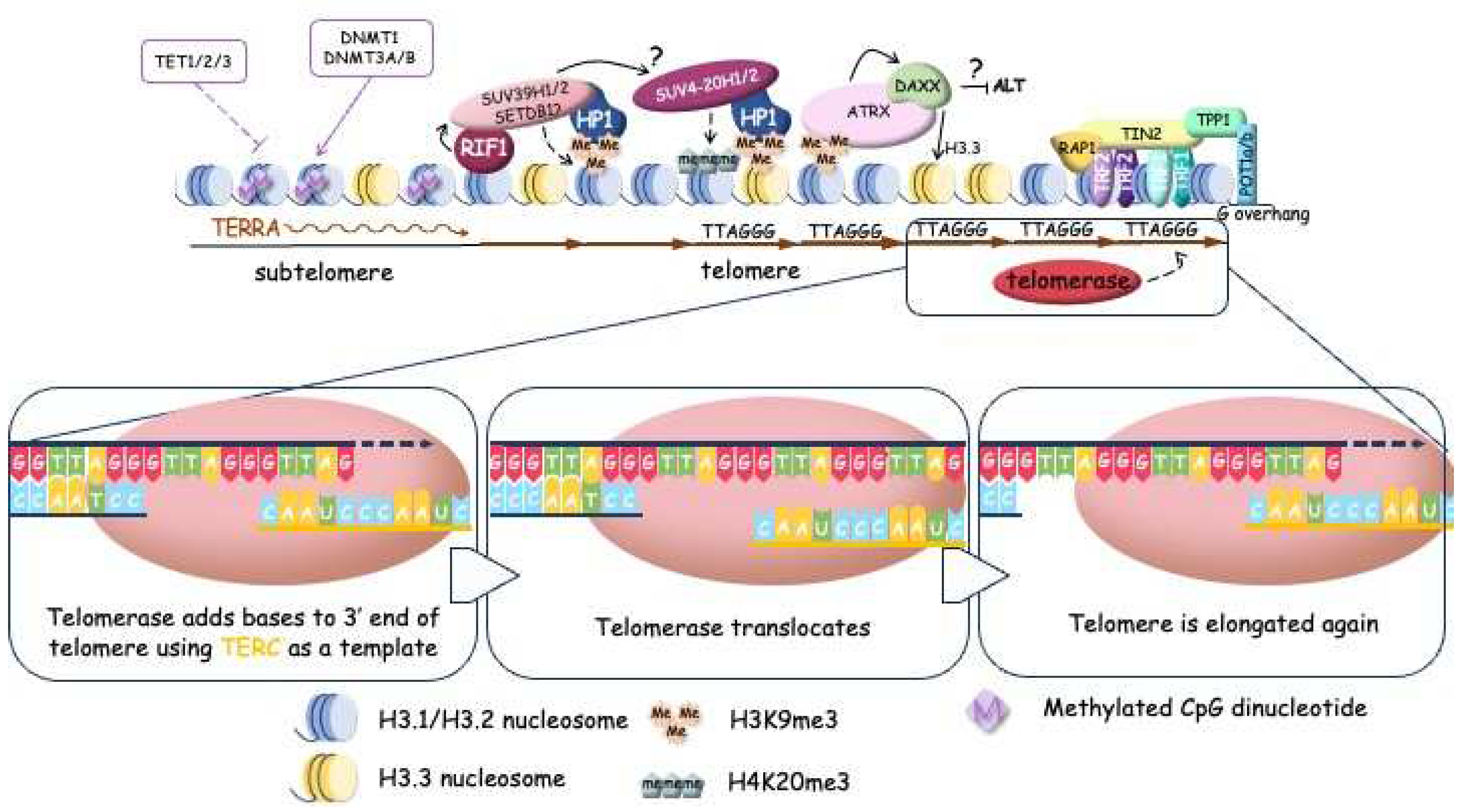 Preprints 95003 g002