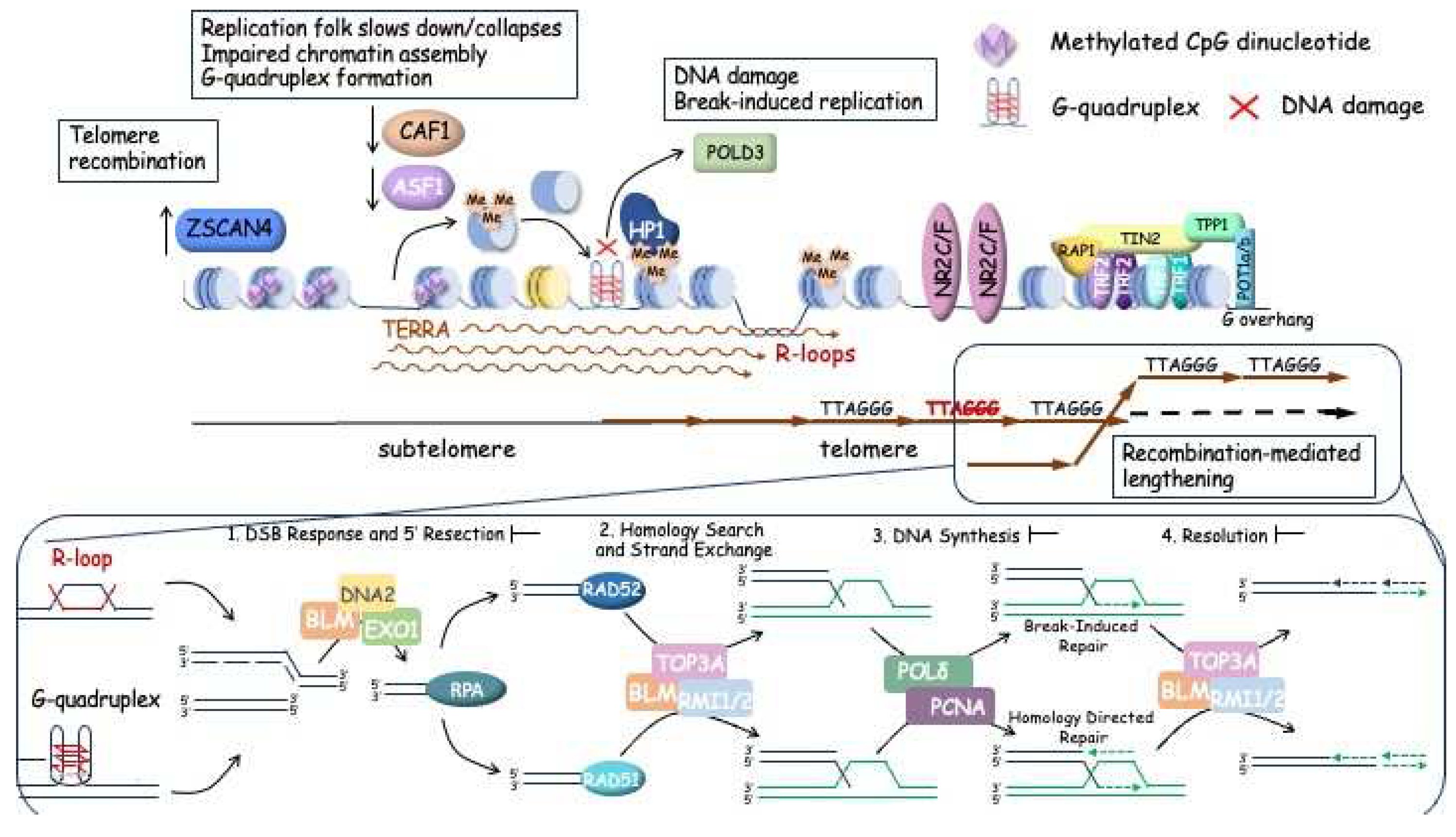 Preprints 95003 g003