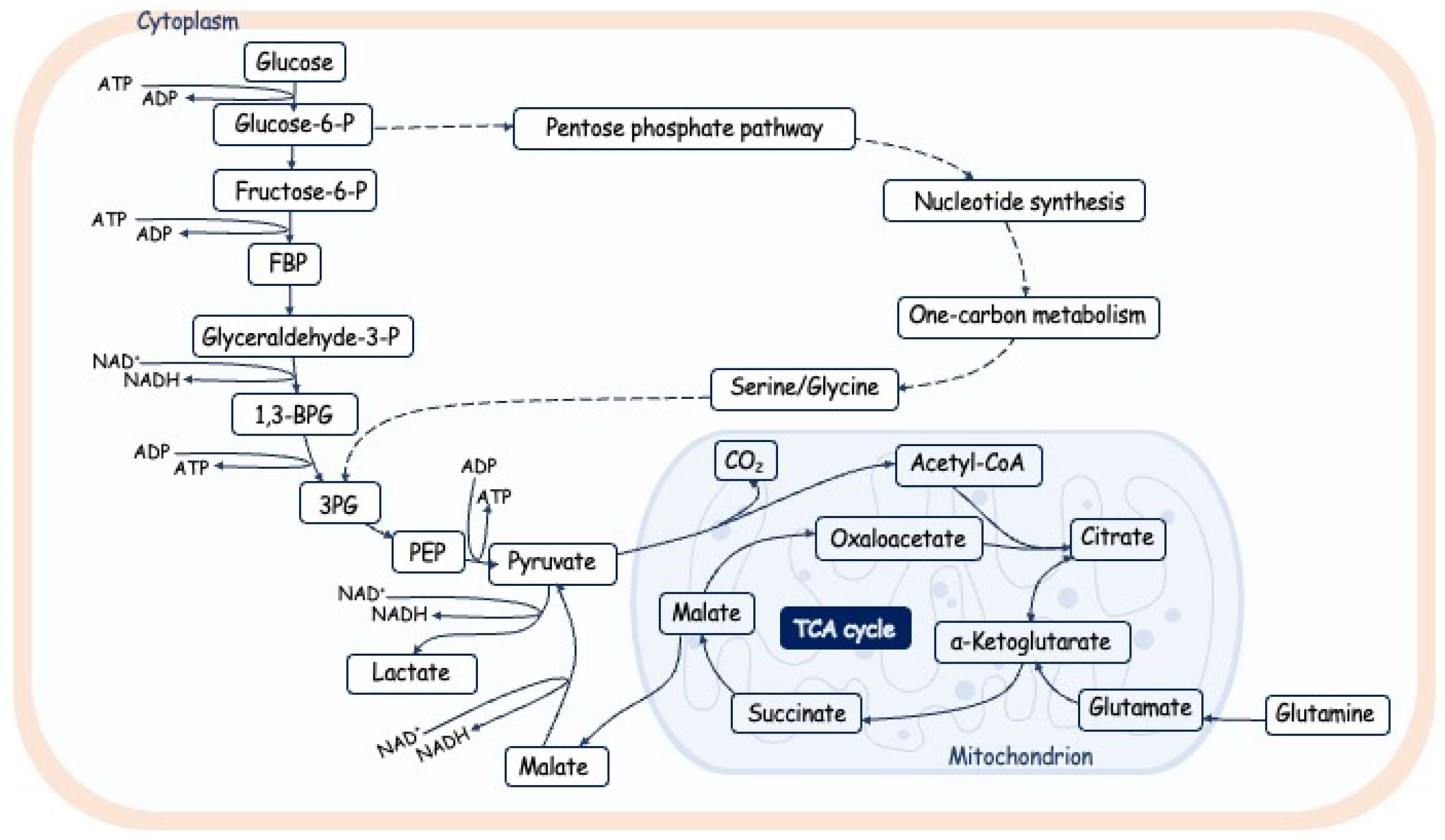 Preprints 95003 g004