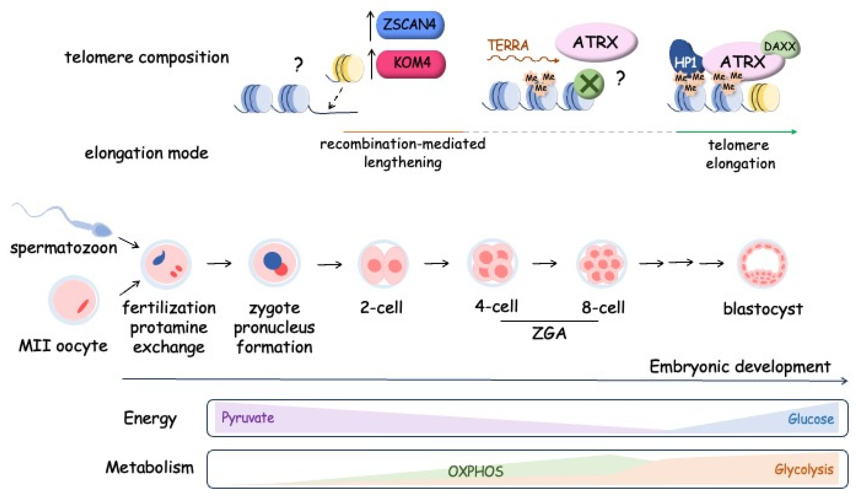 Preprints 95003 g005