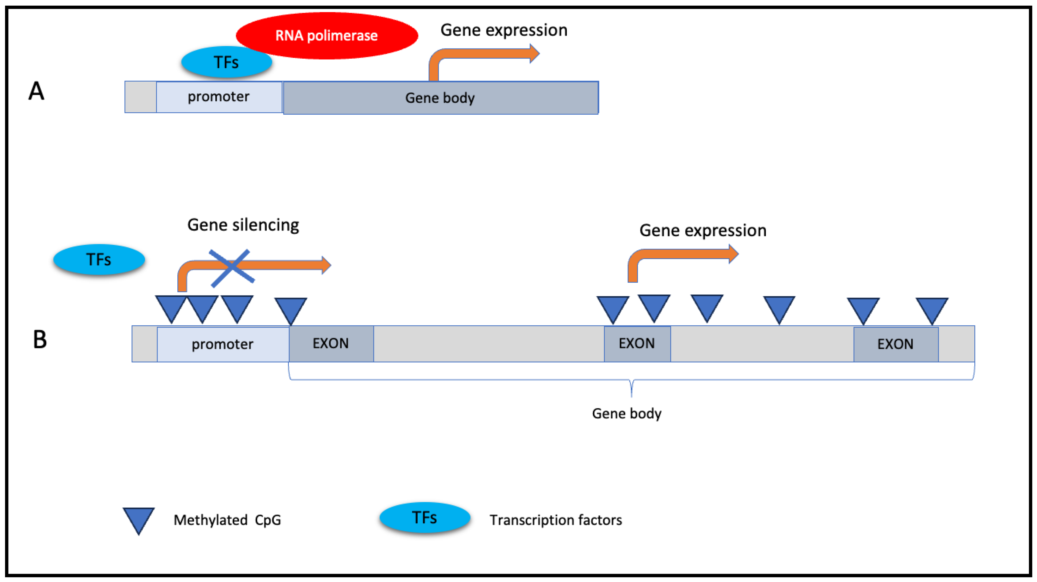 Preprints 88054 g001