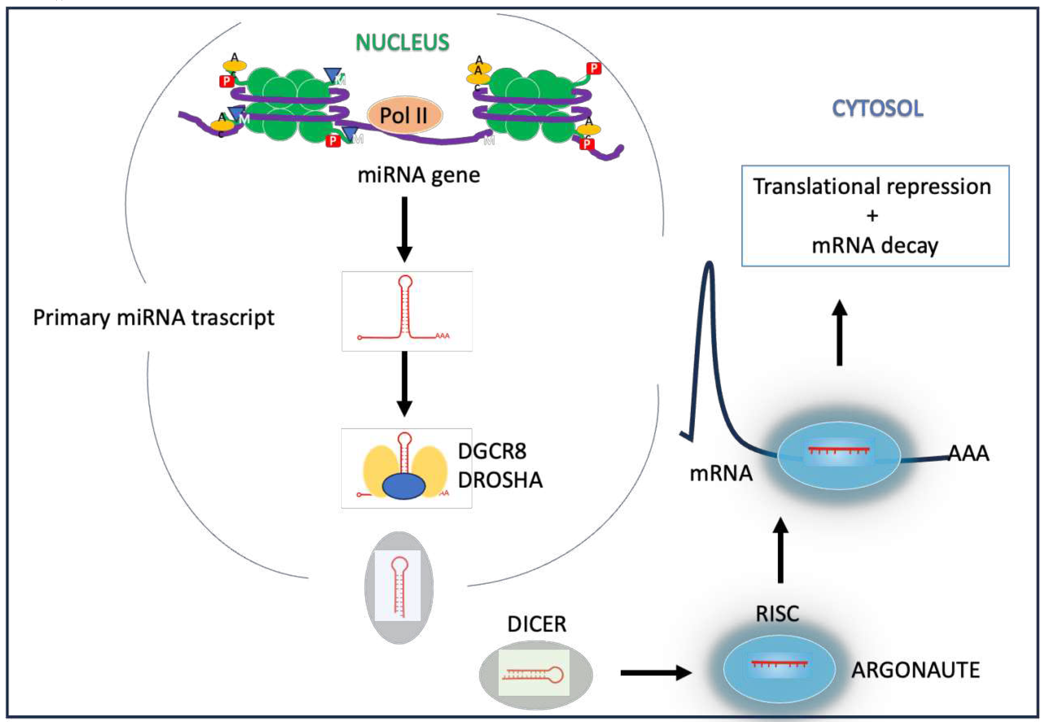 Preprints 88054 g003