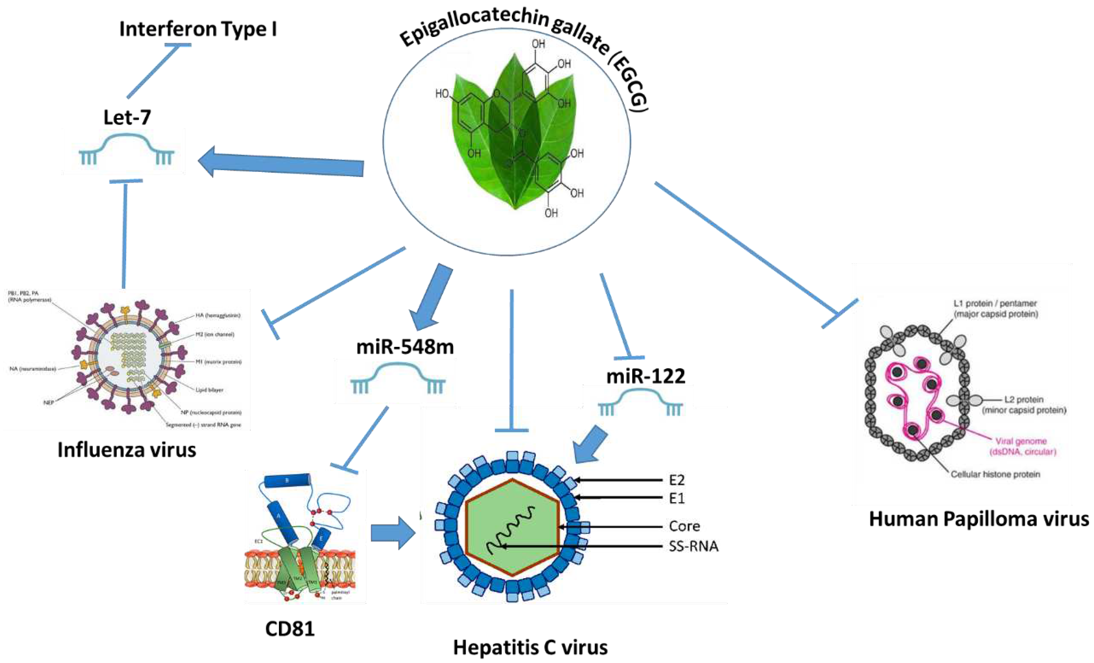 Preprints 88054 g006