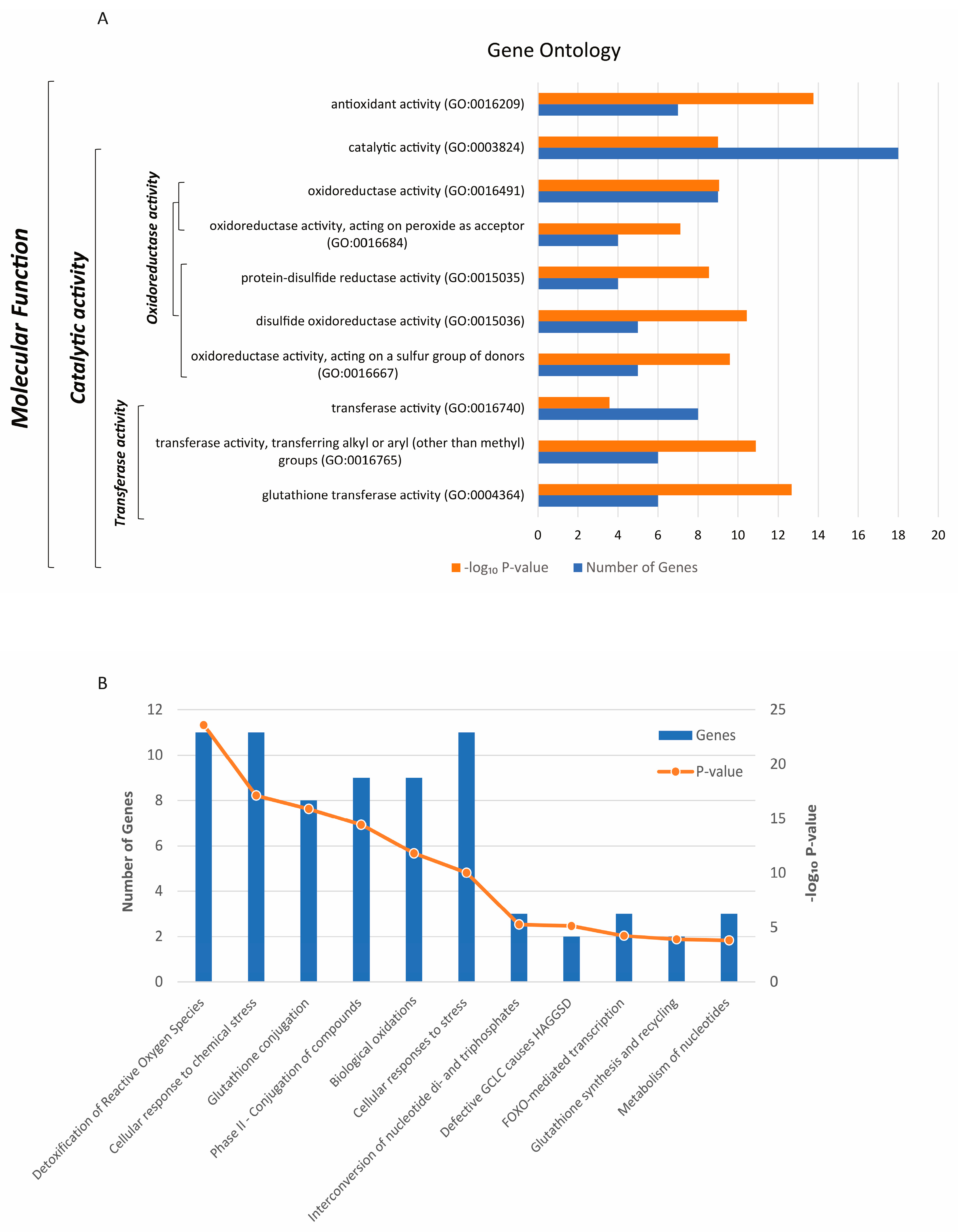 Preprints 114853 g001