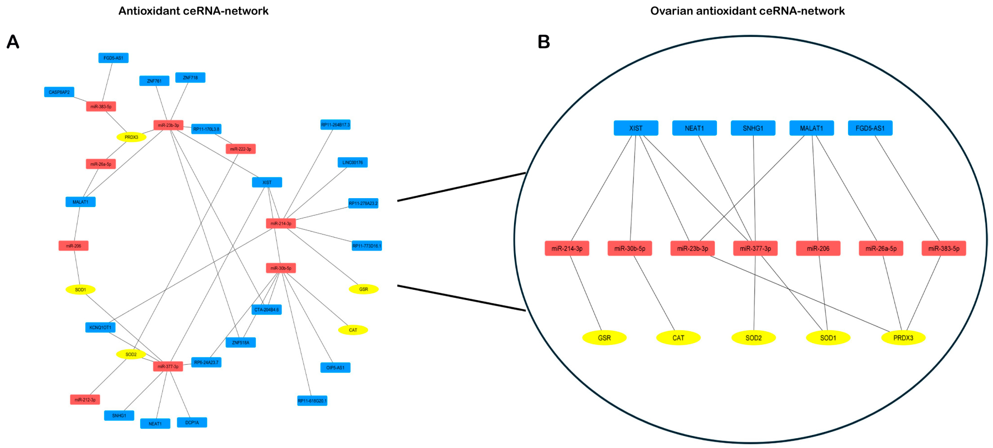 Preprints 114853 g005