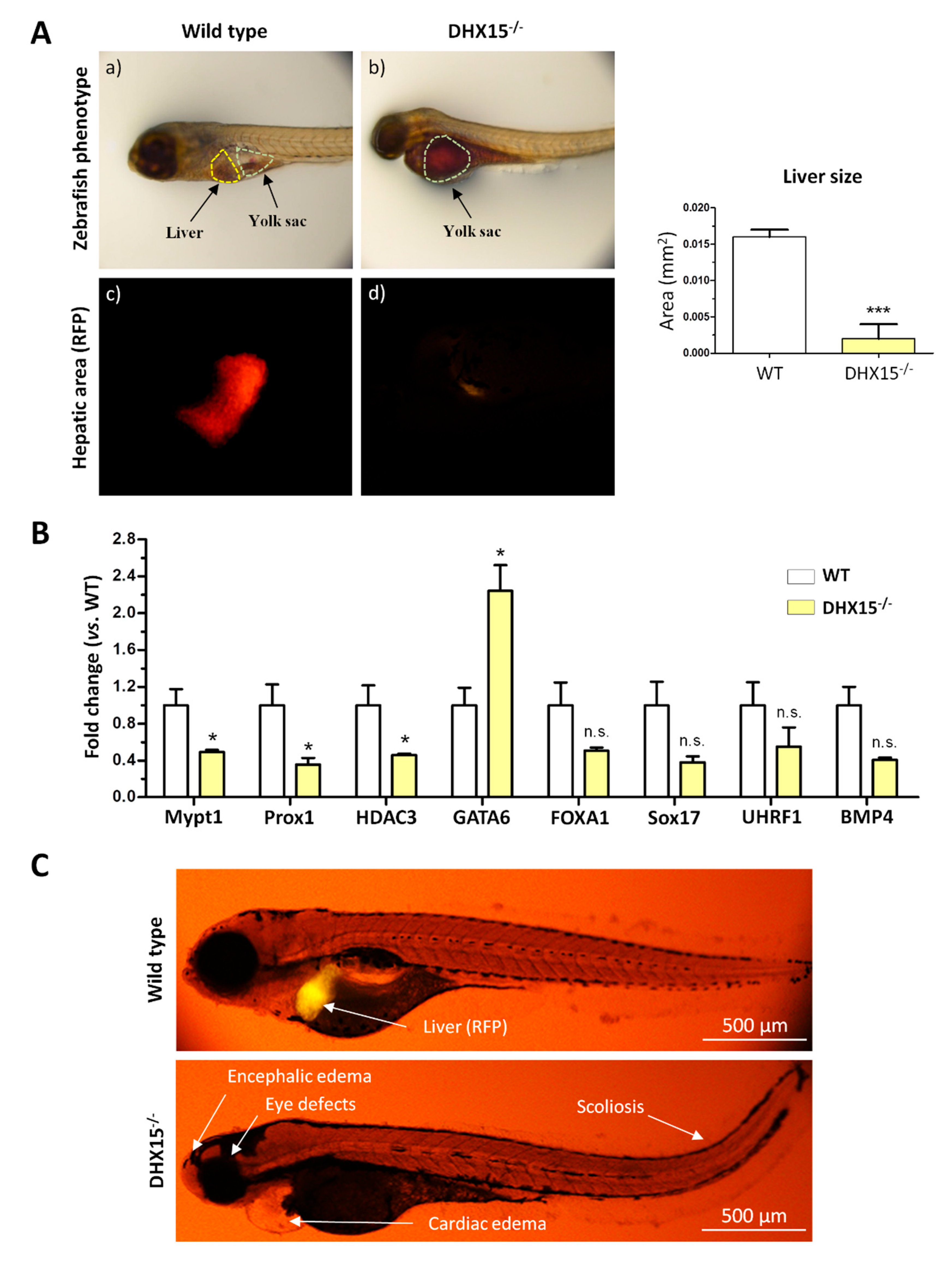 Preprints 95925 g001