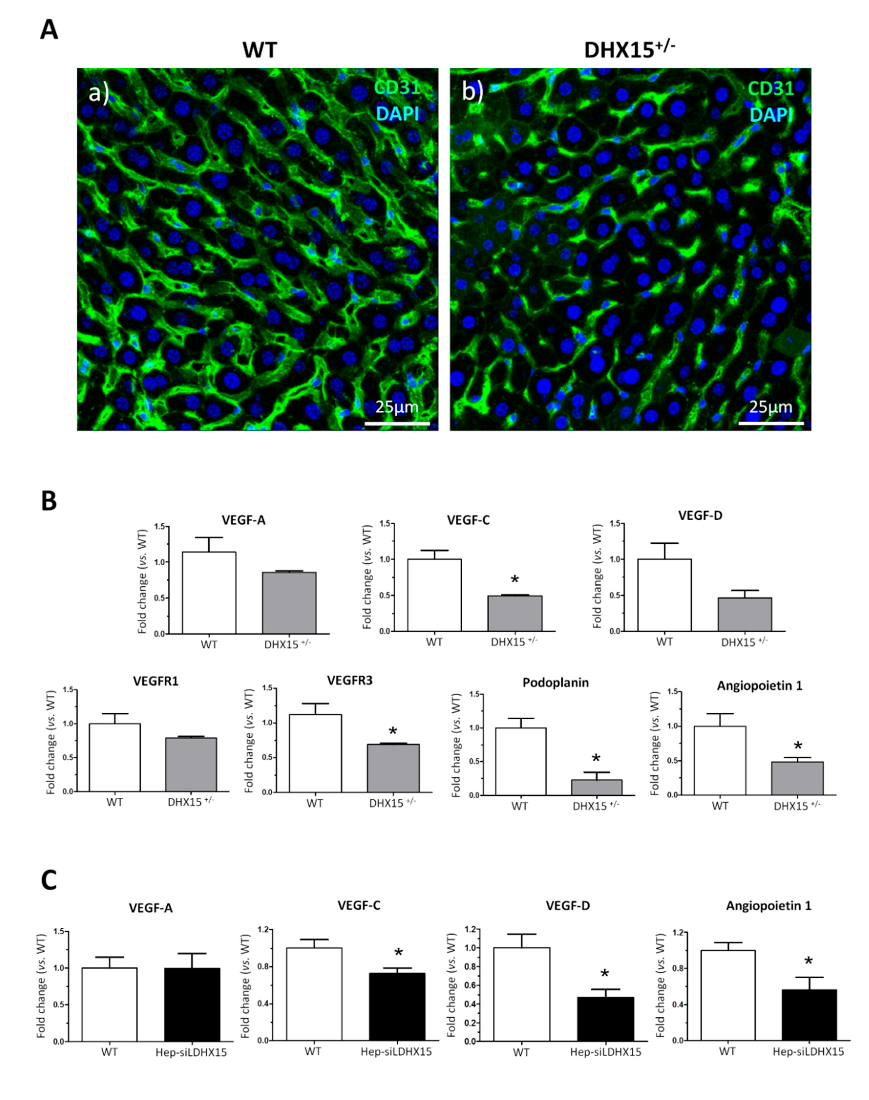 Preprints 95925 g002