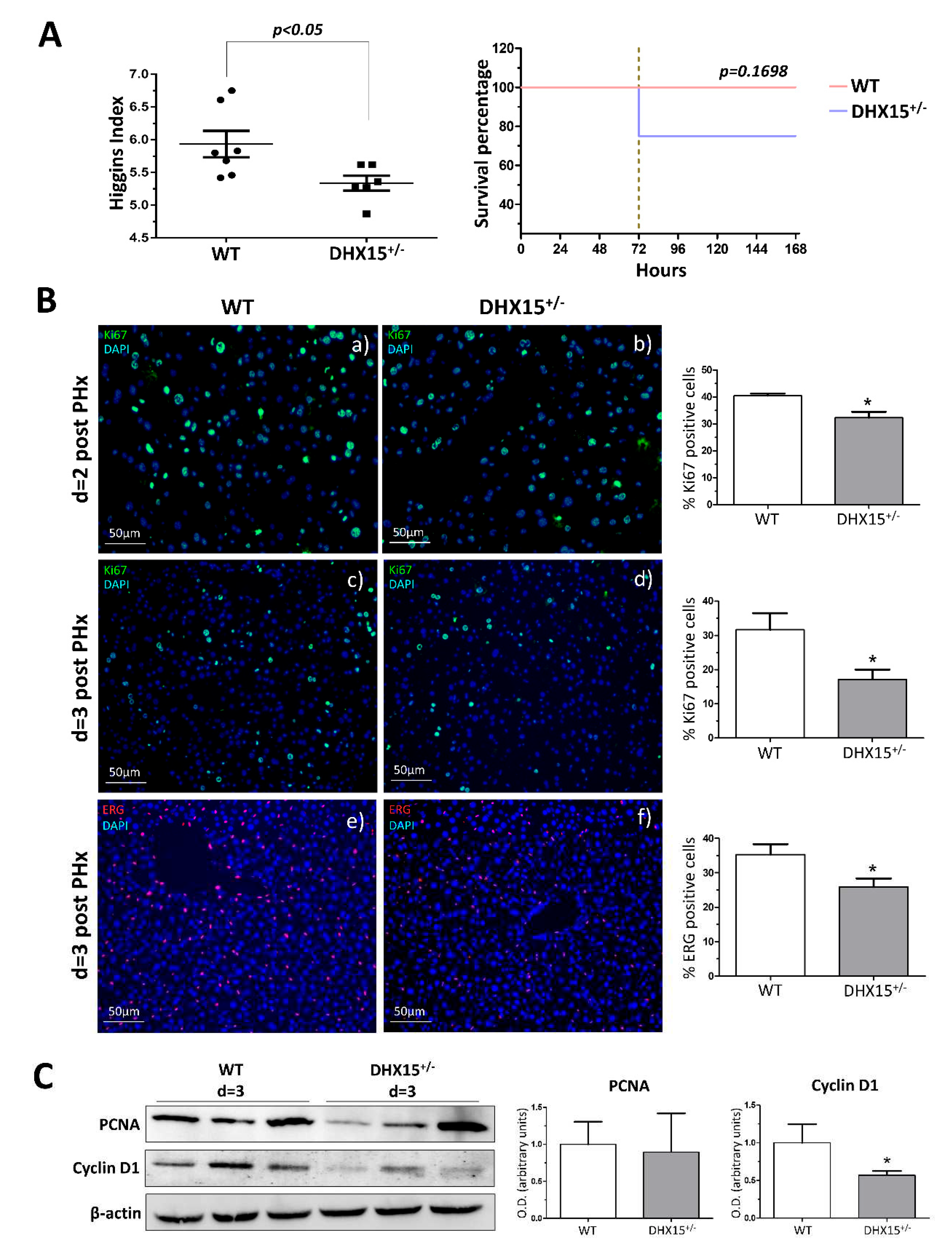 Preprints 95925 g003