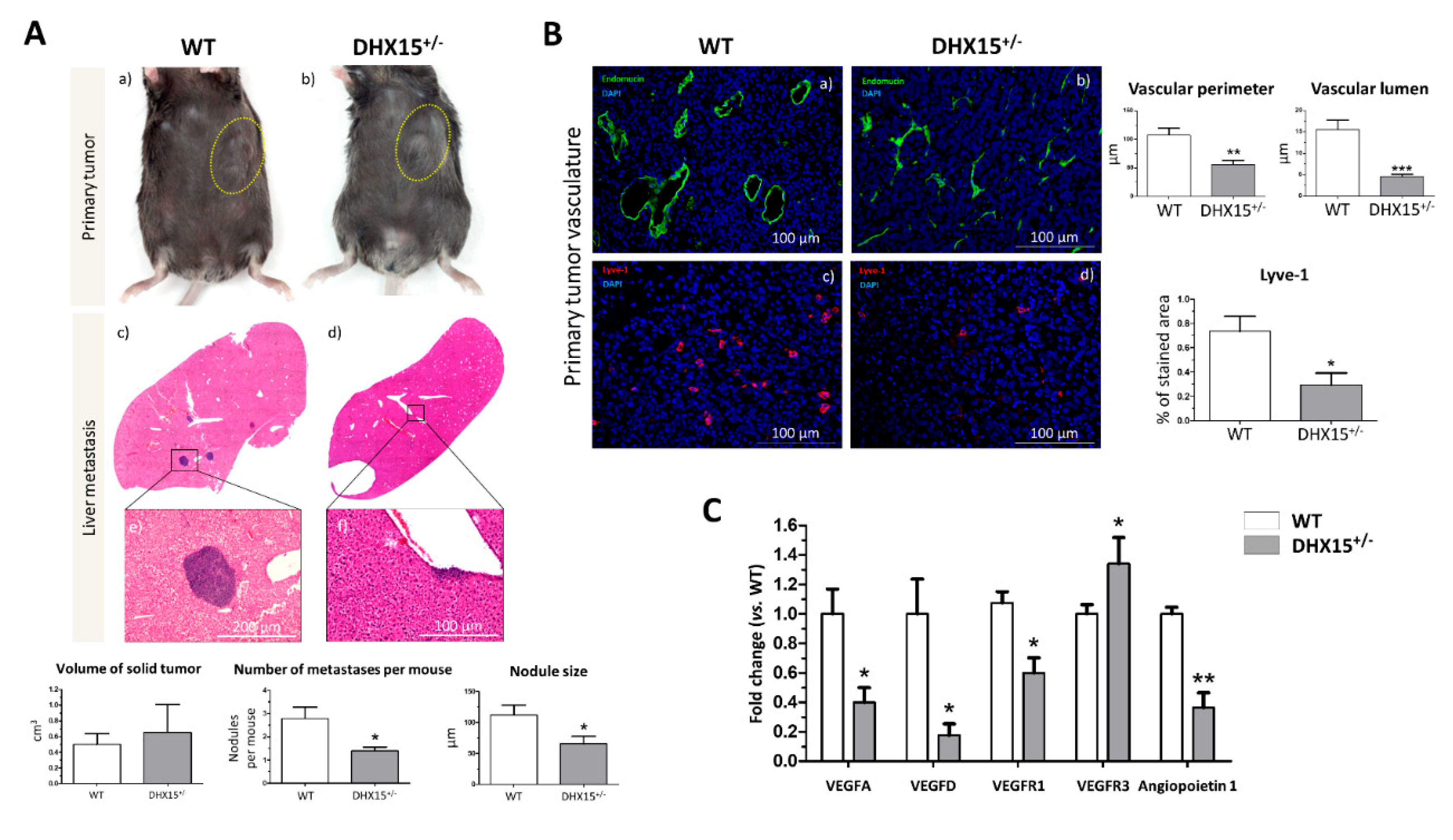 Preprints 95925 g005