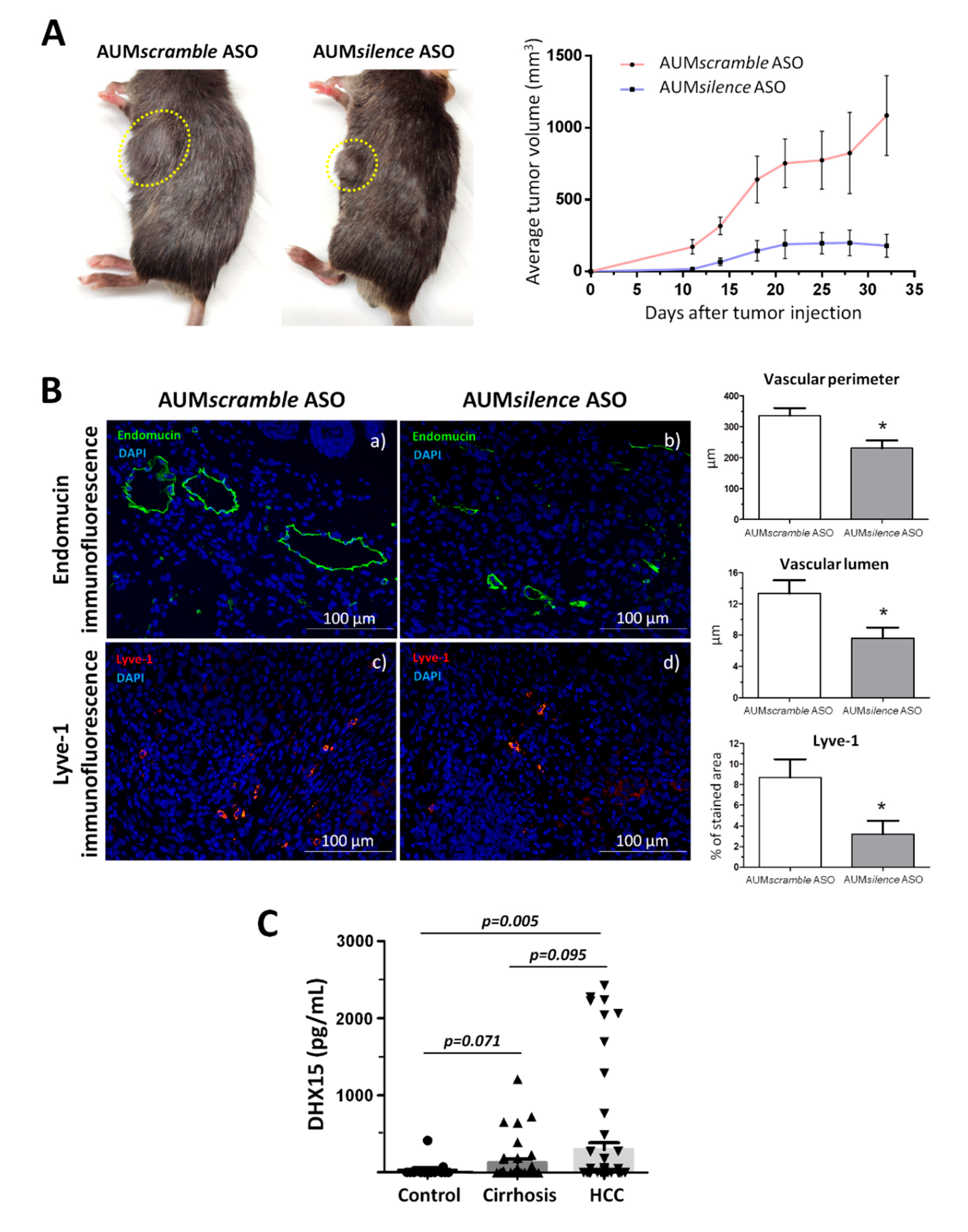 Preprints 95925 g006