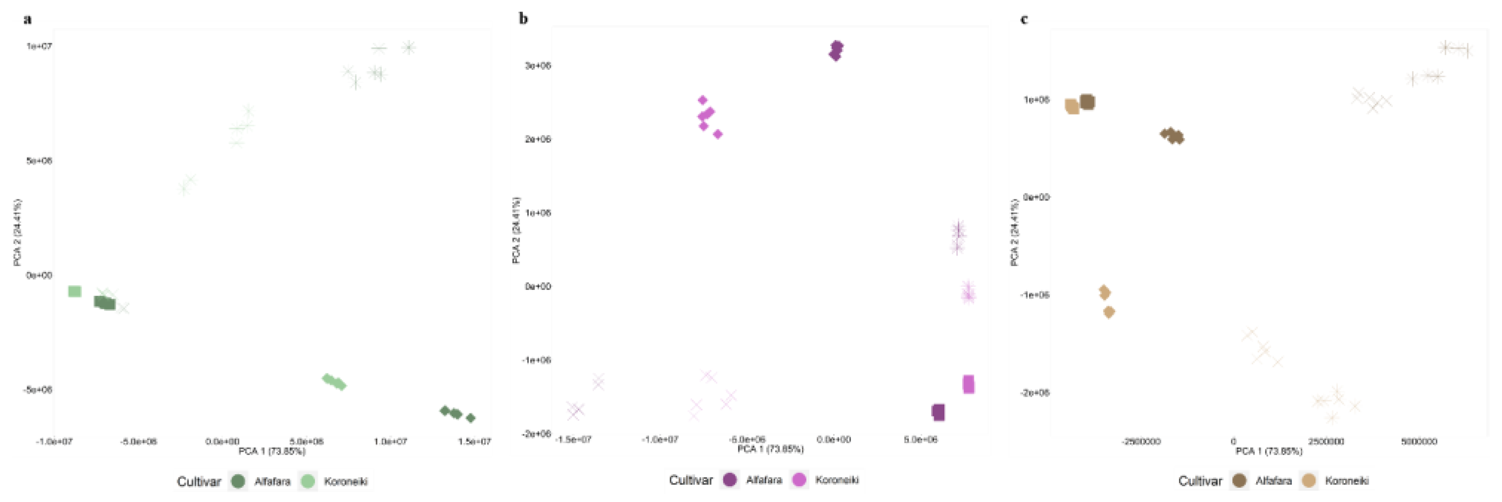 Preprints 76431 g002