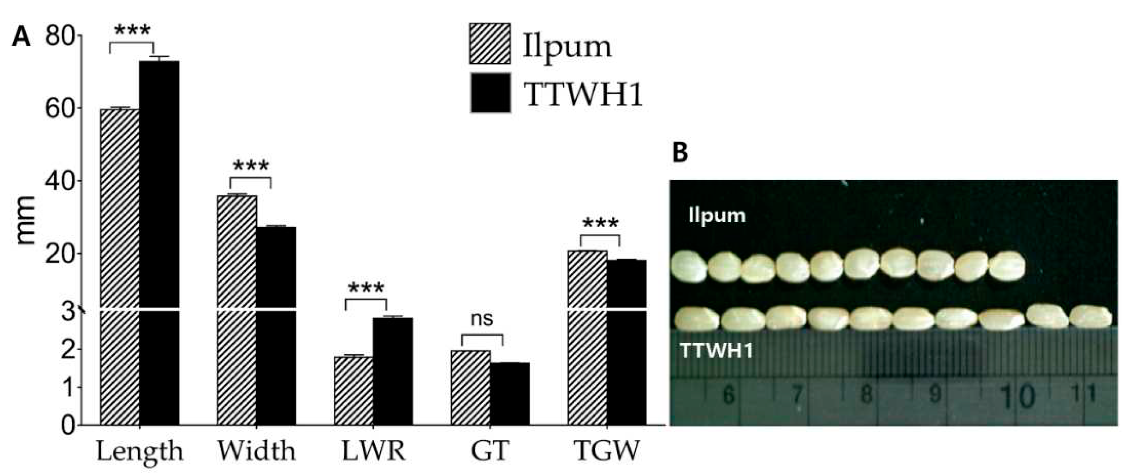 Preprints 85538 g001