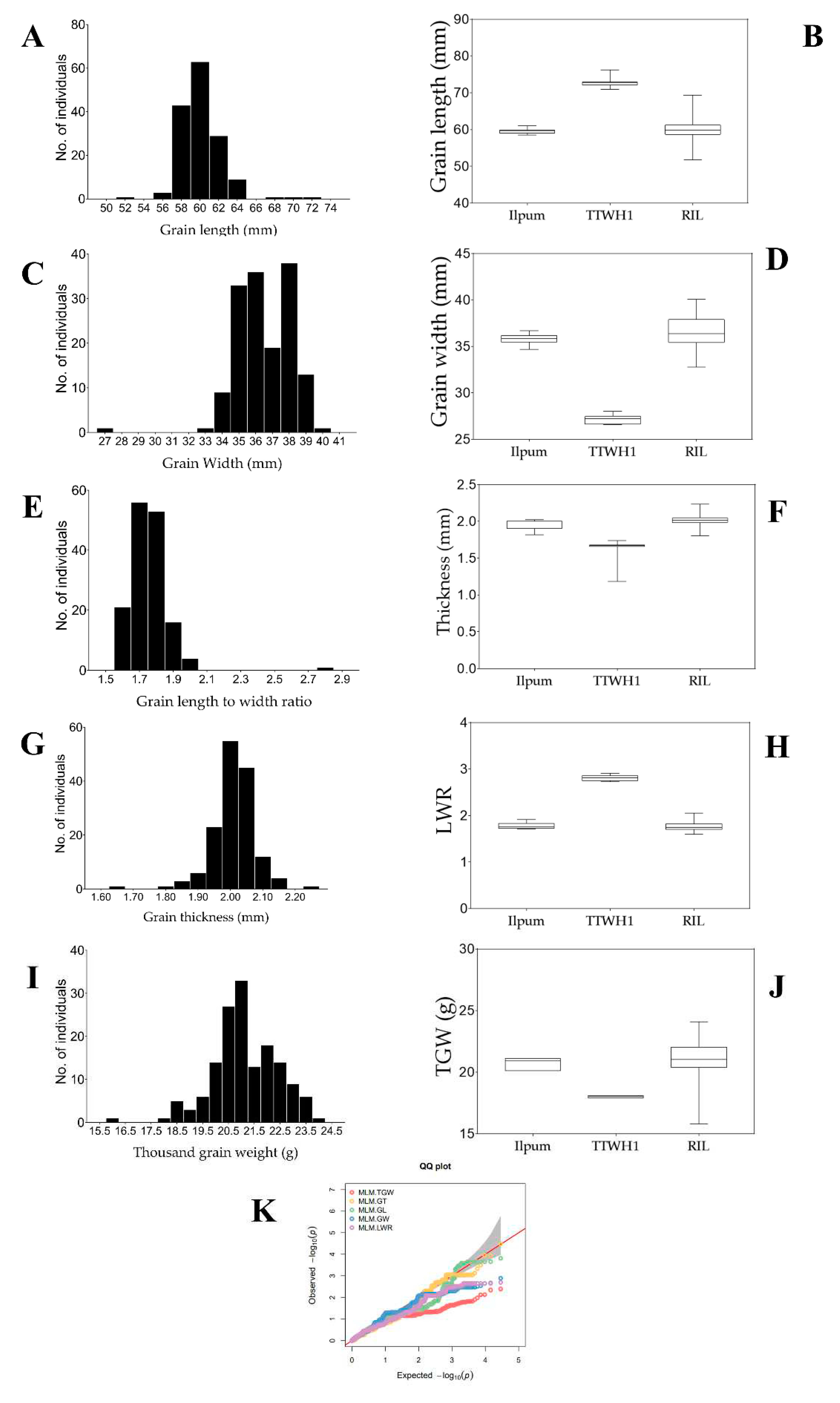 Preprints 85538 g002