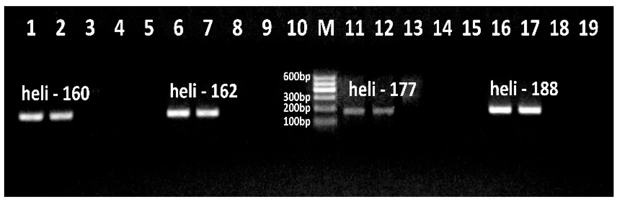 Preprints 119491 g001