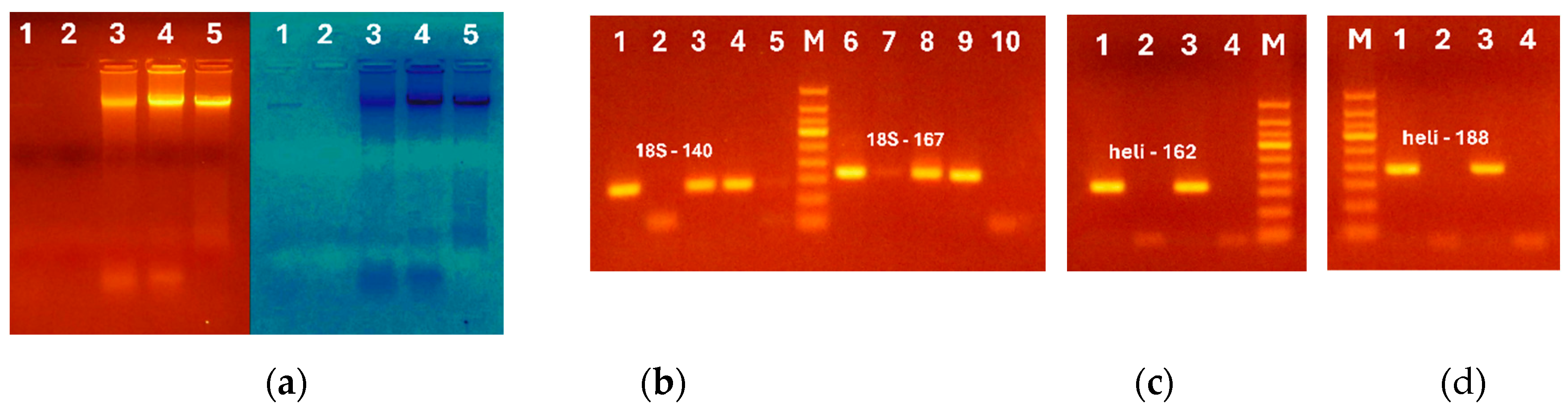 Preprints 119491 g002