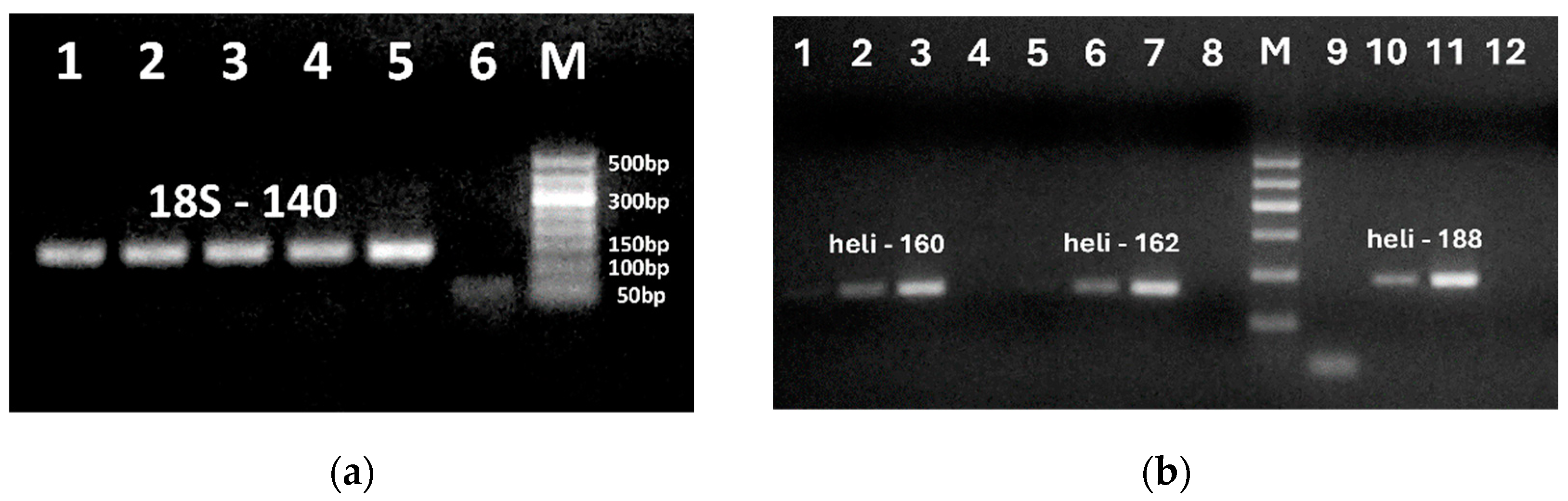 Preprints 119491 g003