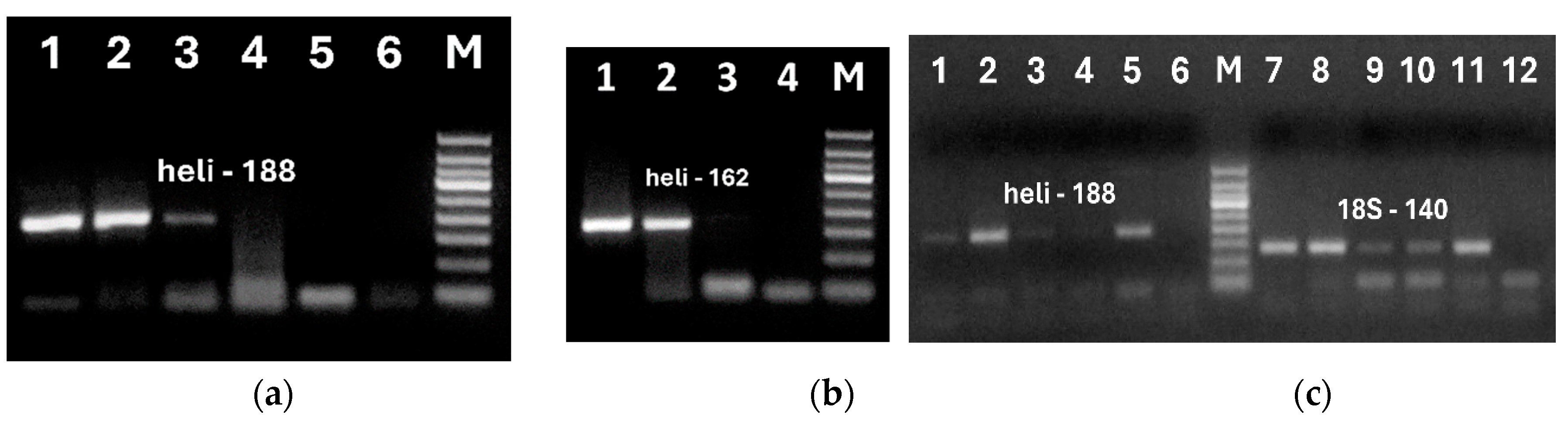 Preprints 119491 g004