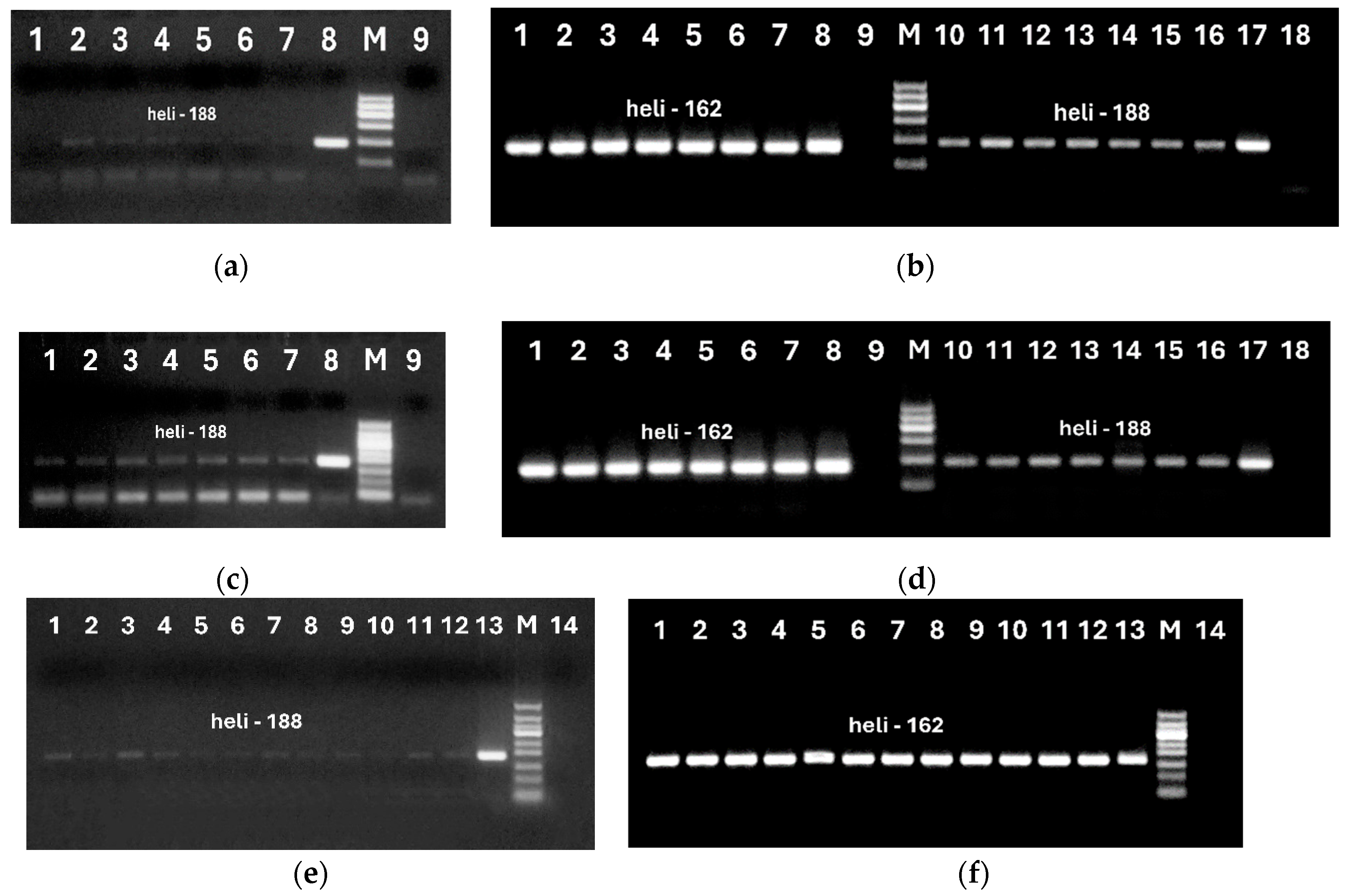 Preprints 119491 g005