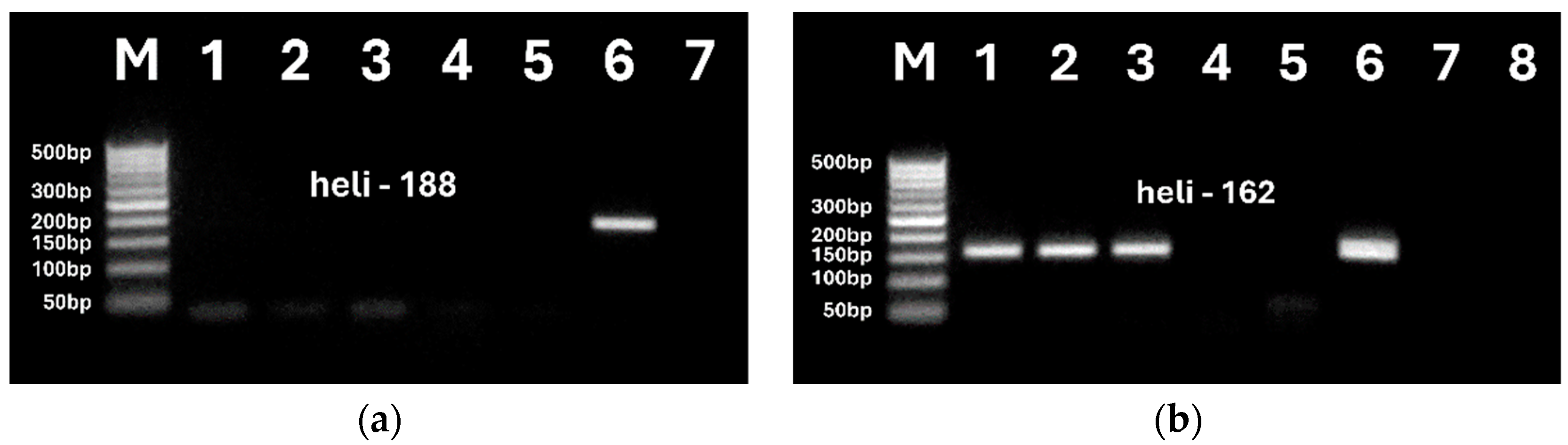 Preprints 119491 g006