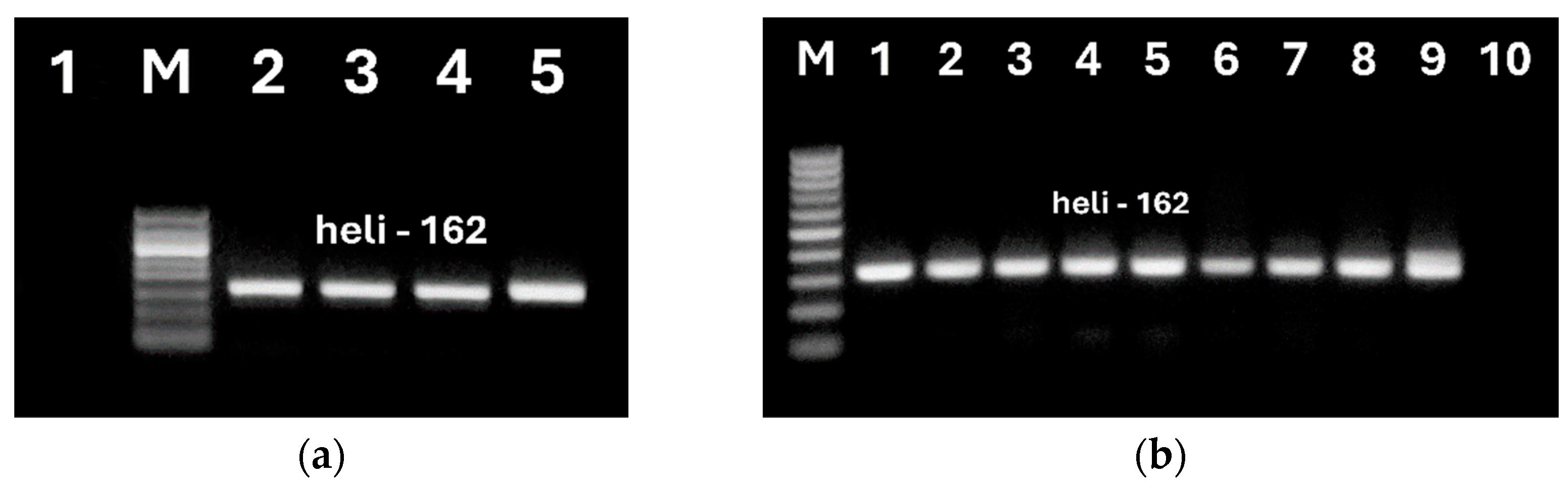 Preprints 119491 g007